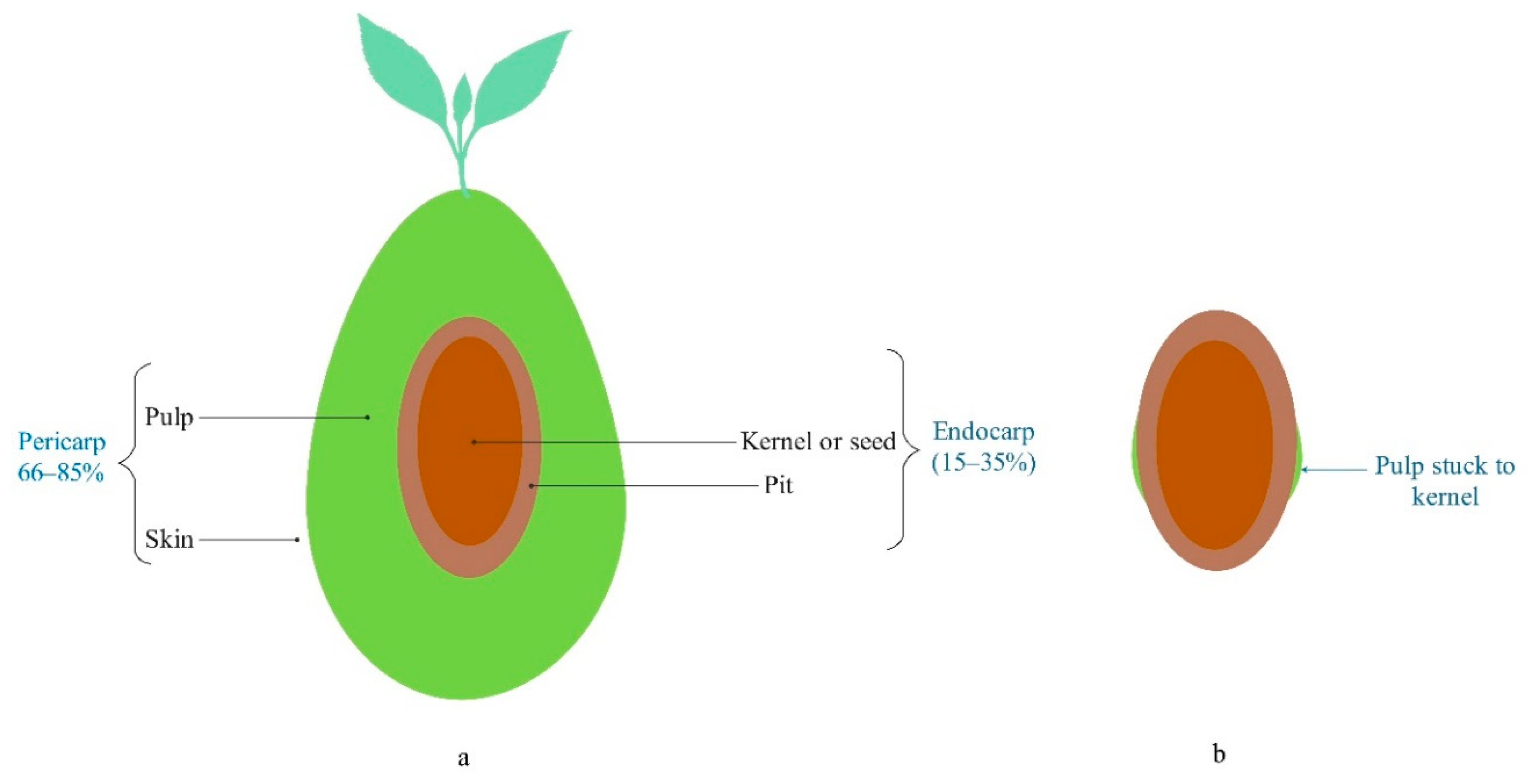 Foods 10 00590 g002 Foods 10 00590 g002