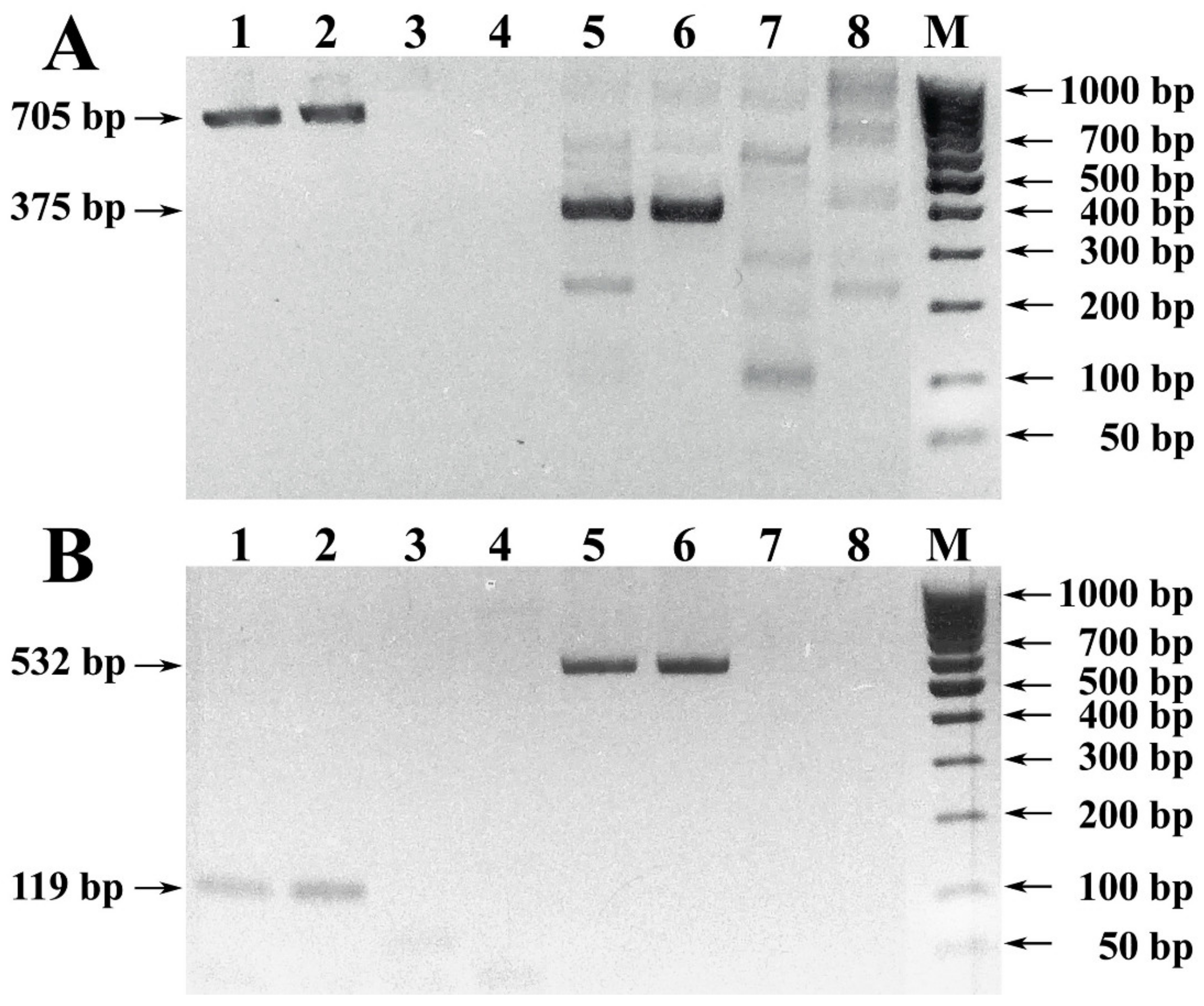 Foods 10 00595 g001 Foods 10 00595 g001