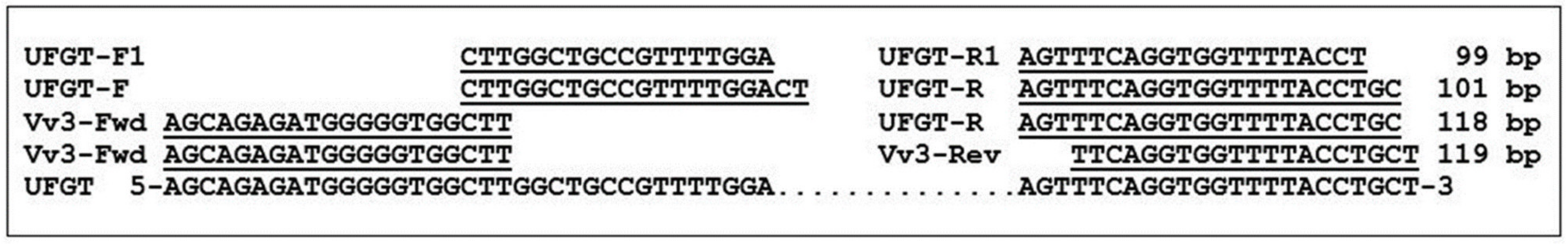 Foods 10 00595 g002 Foods 10 00595 g002