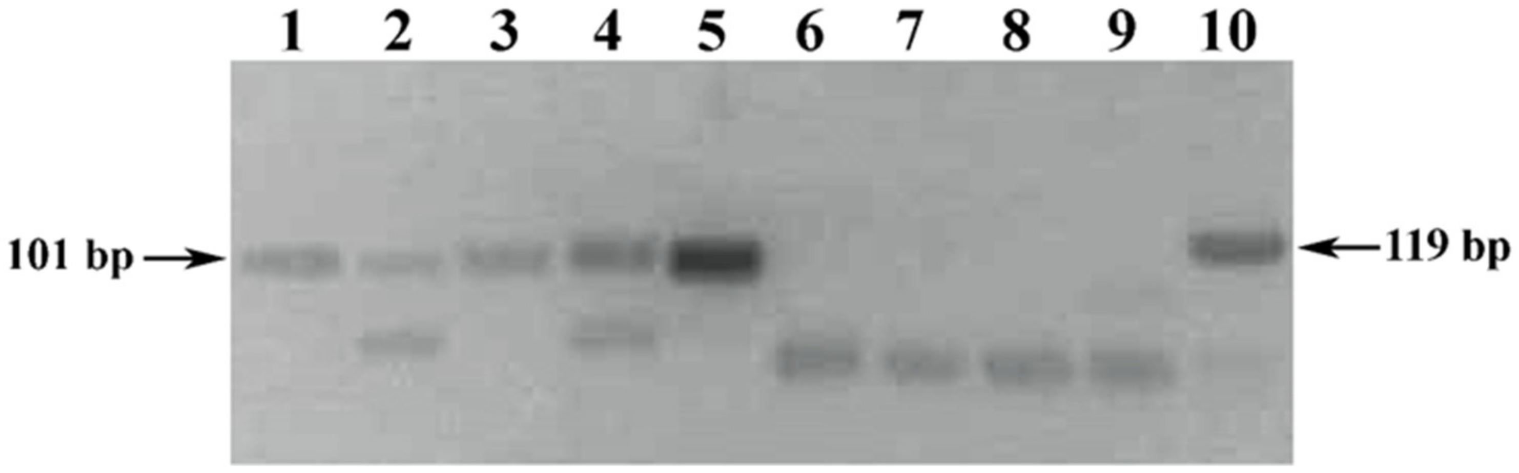 Foods 10 00595 g003 Foods 10 00595 g003