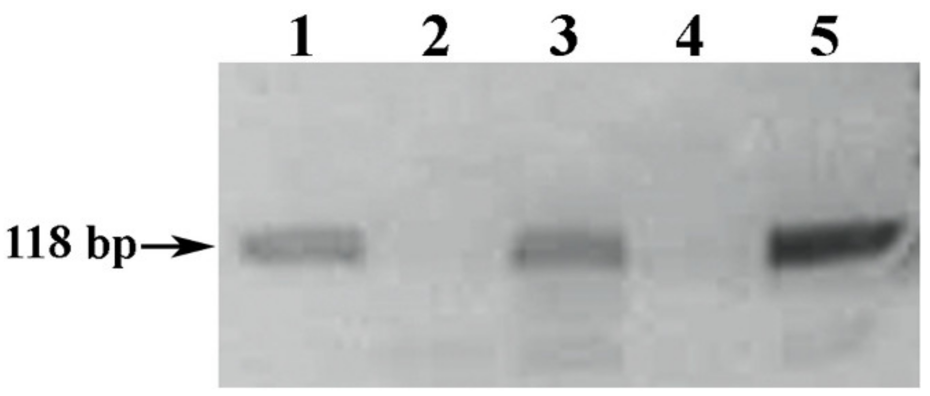 Foods 10 00595 g004 Foods 10 00595 g004