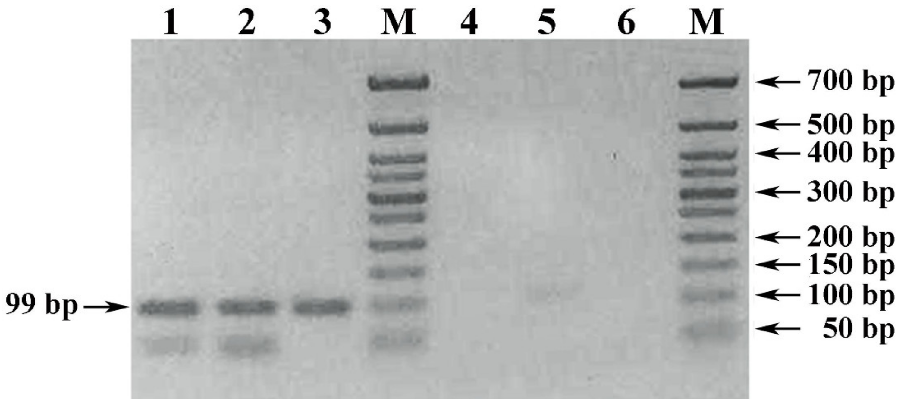 Foods 10 00595 g005 Foods 10 00595 g005