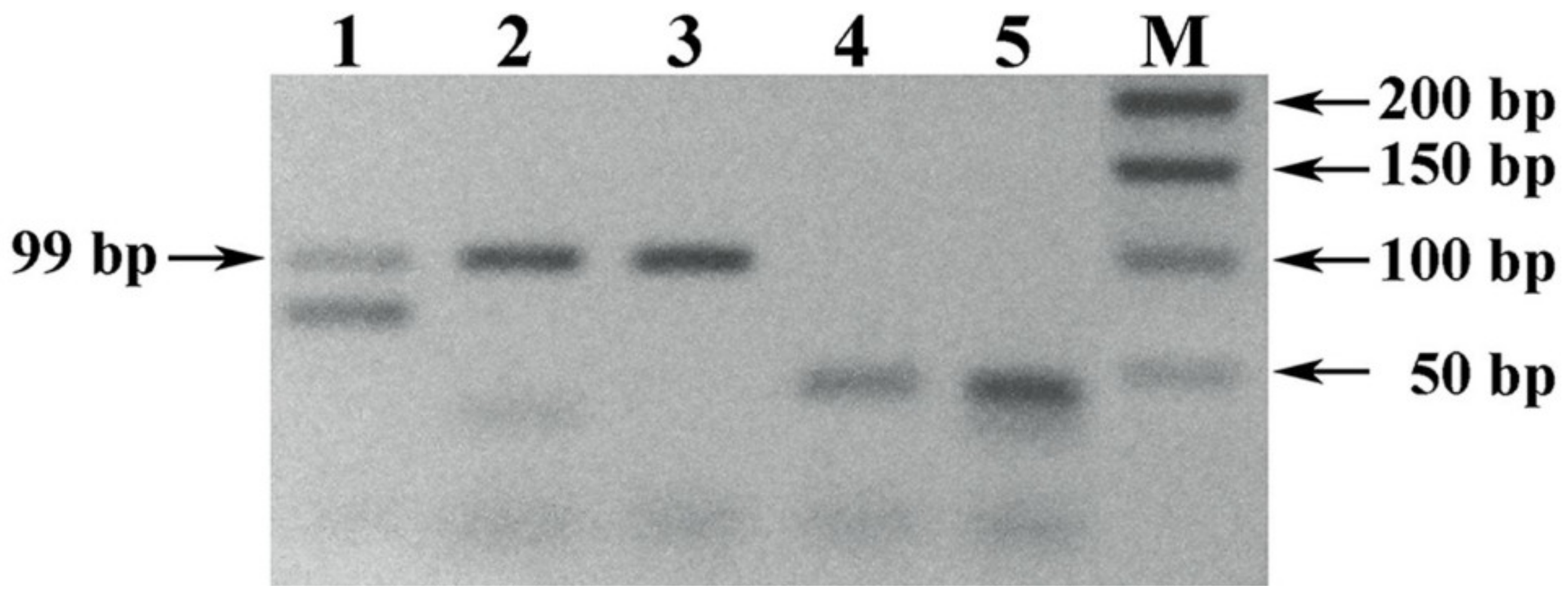 Foods 10 00595 g006 Foods 10 00595 g006