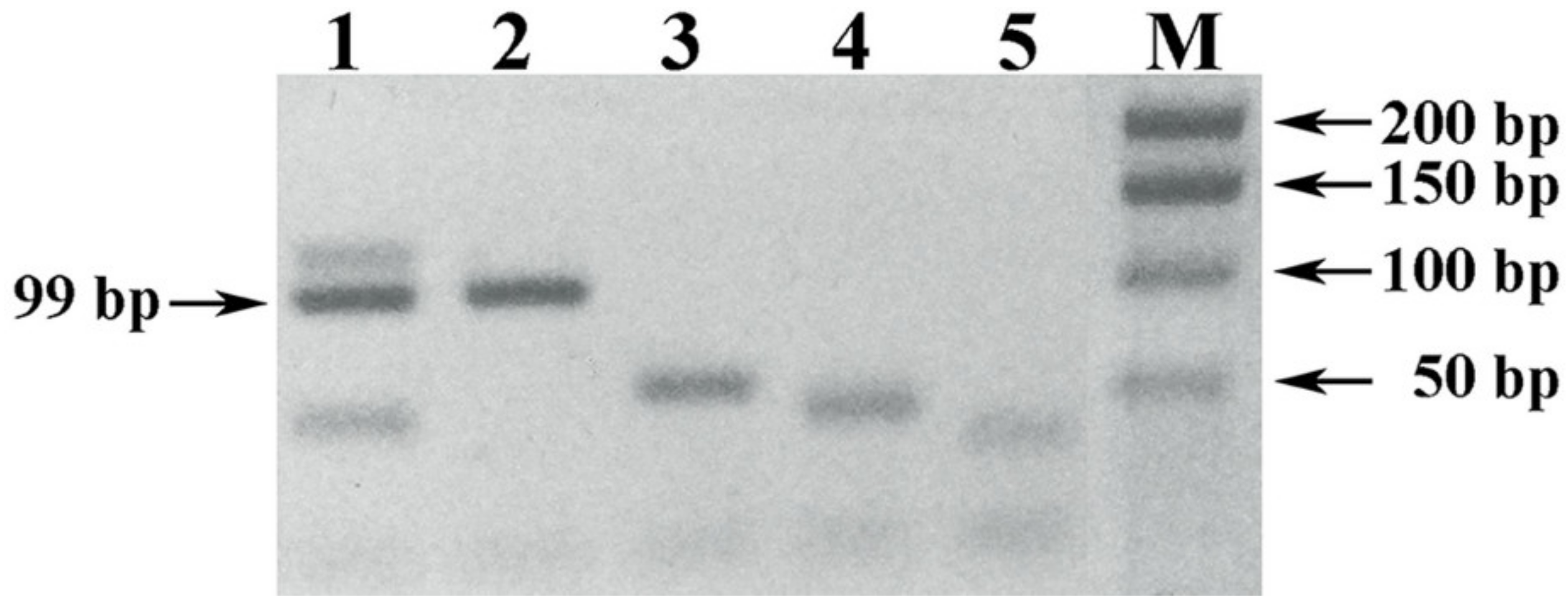 Foods 10 00595 g007 Foods 10 00595 g007