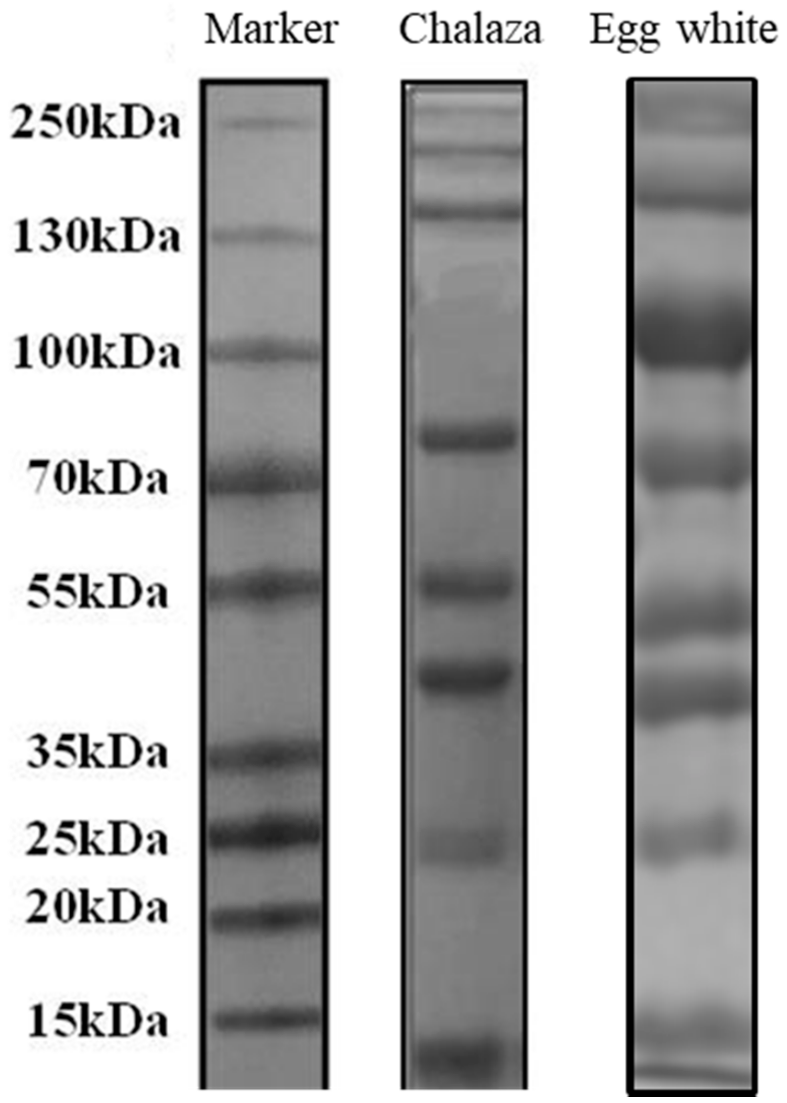 Foods 10 00599 g002 Foods 10 00599 g002