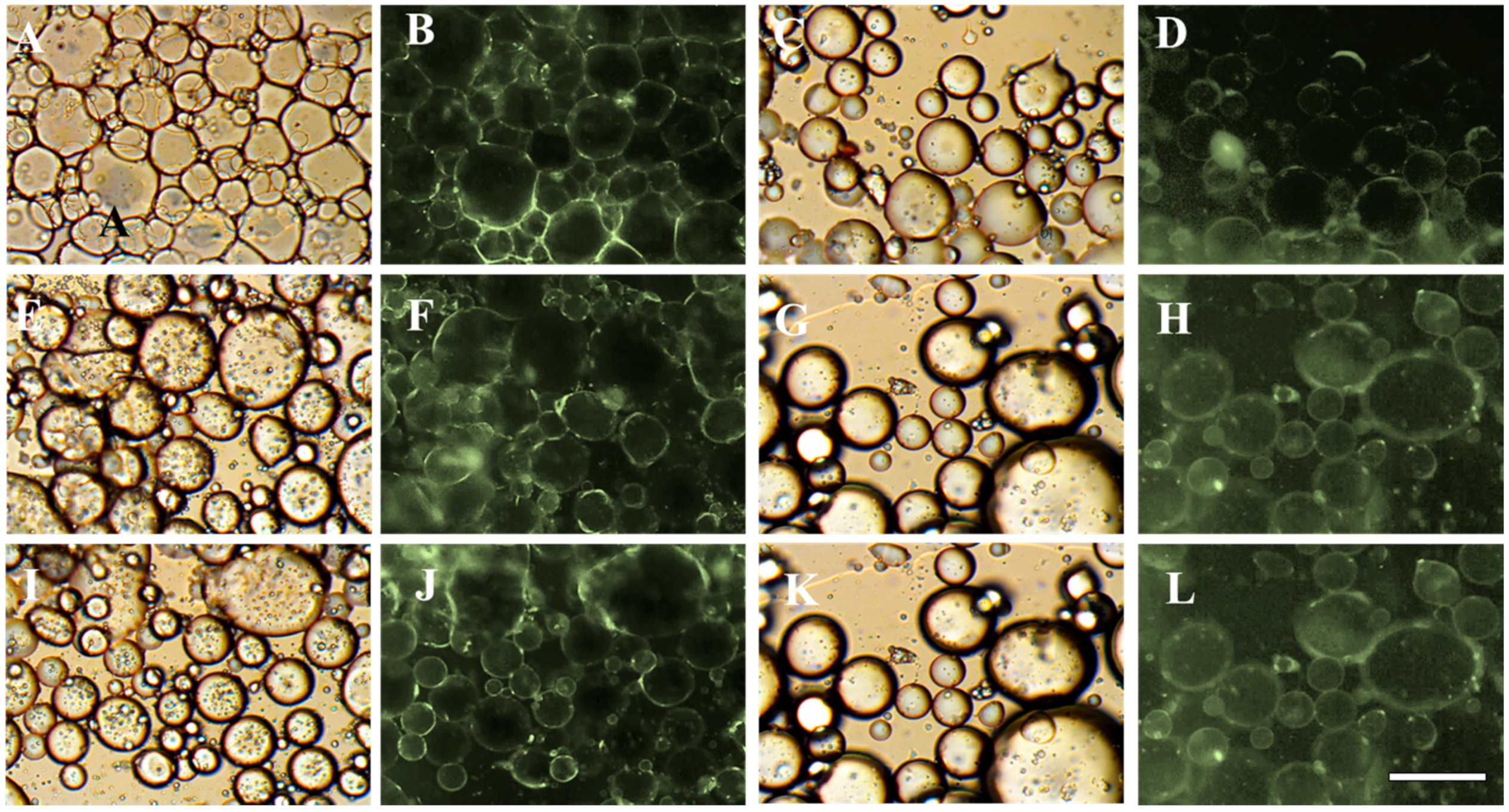 Foods 10 00599 g009 Foods 10 00599 g009