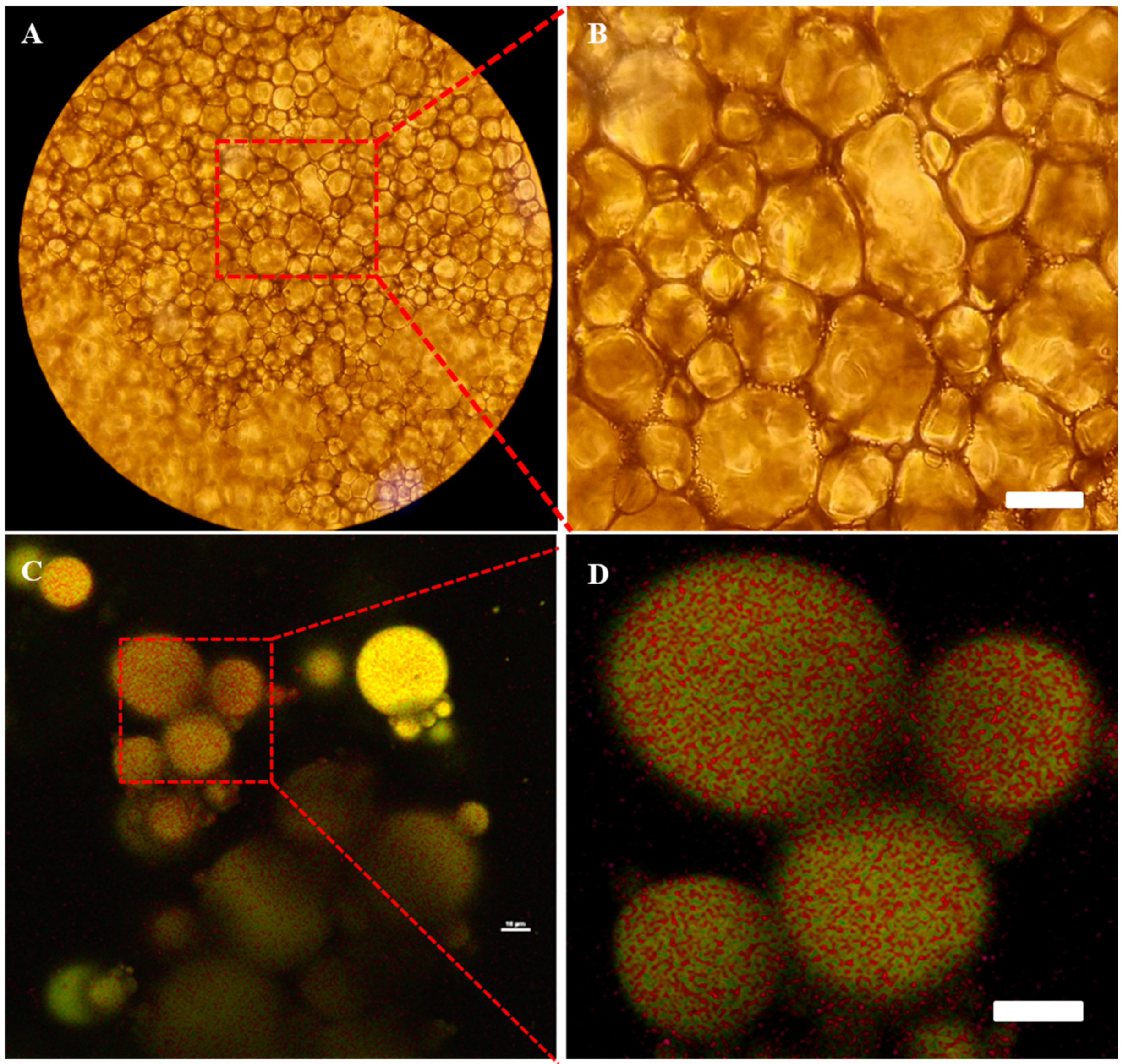 Foods 10 00599 g010 Foods 10 00599 g010