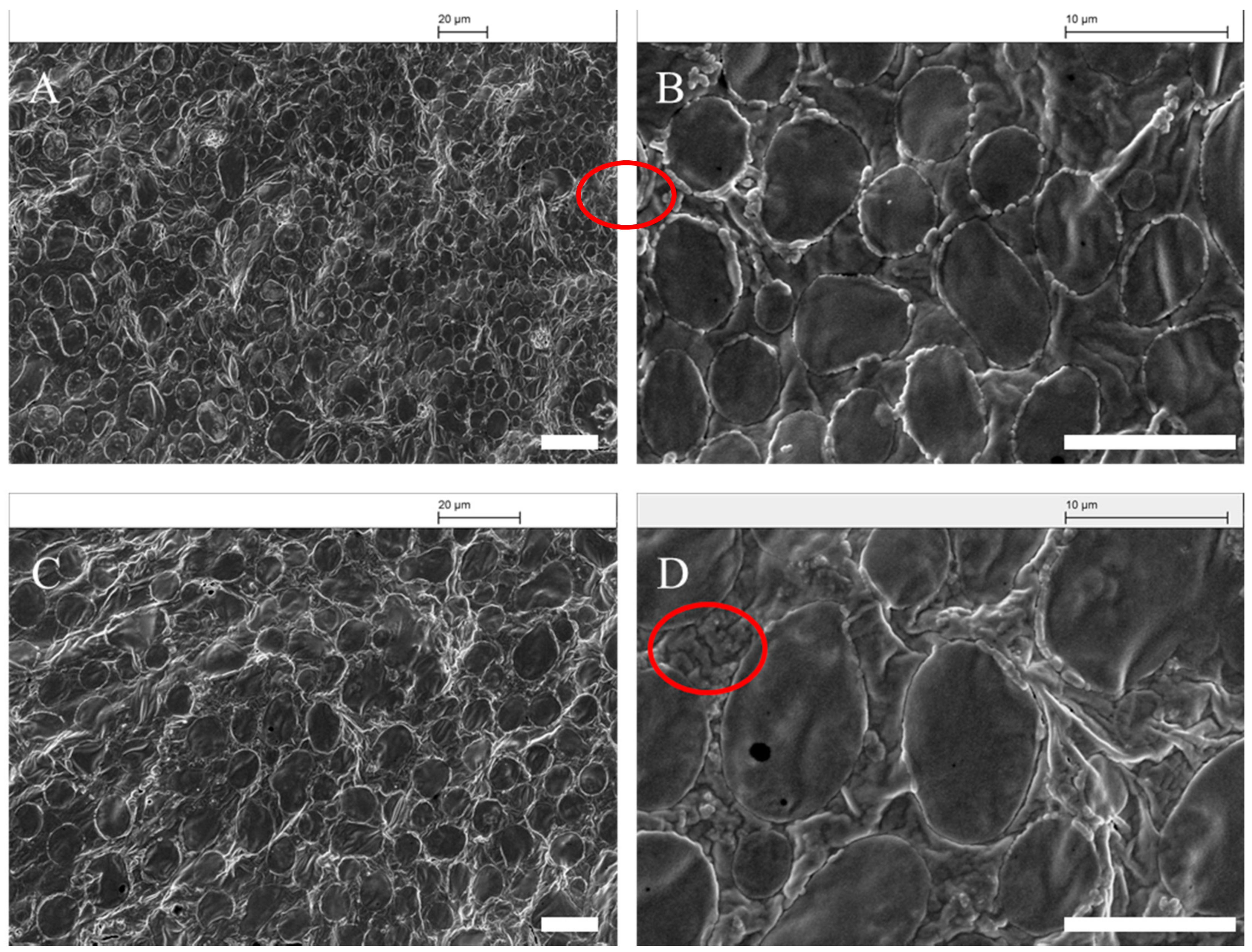 Foods 10 00599 g011 Foods 10 00599 g011