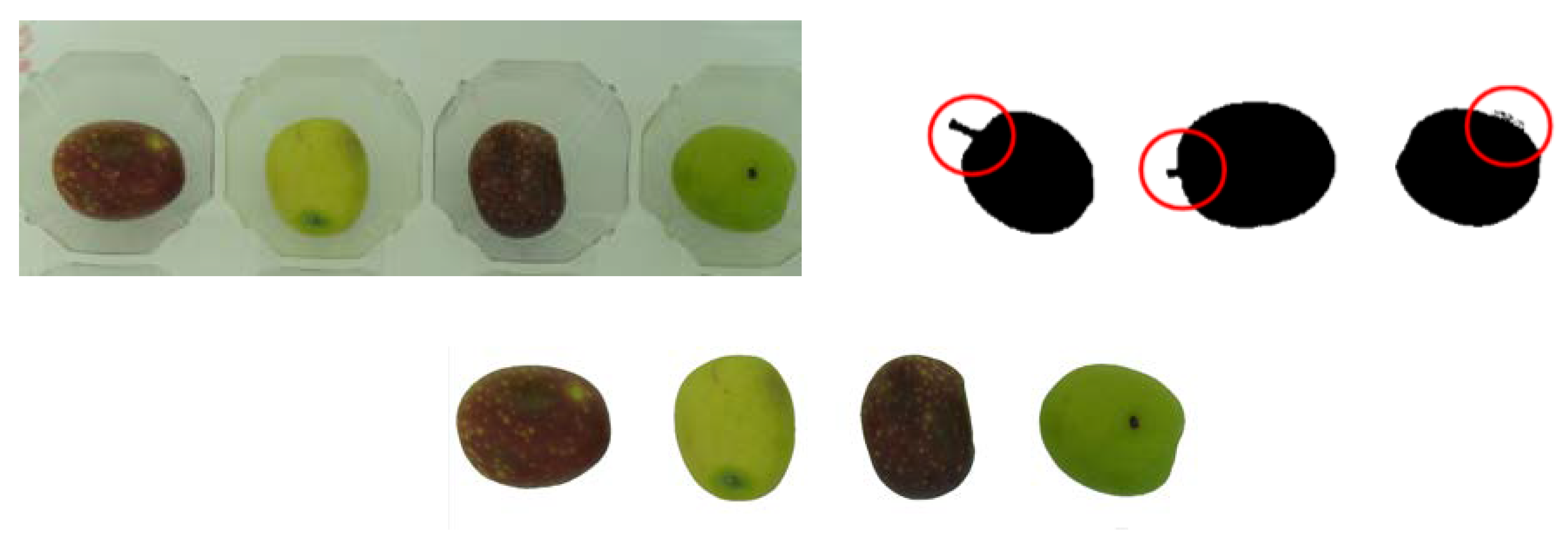 Foods 10 00609 g002 Foods 10 00609 g002