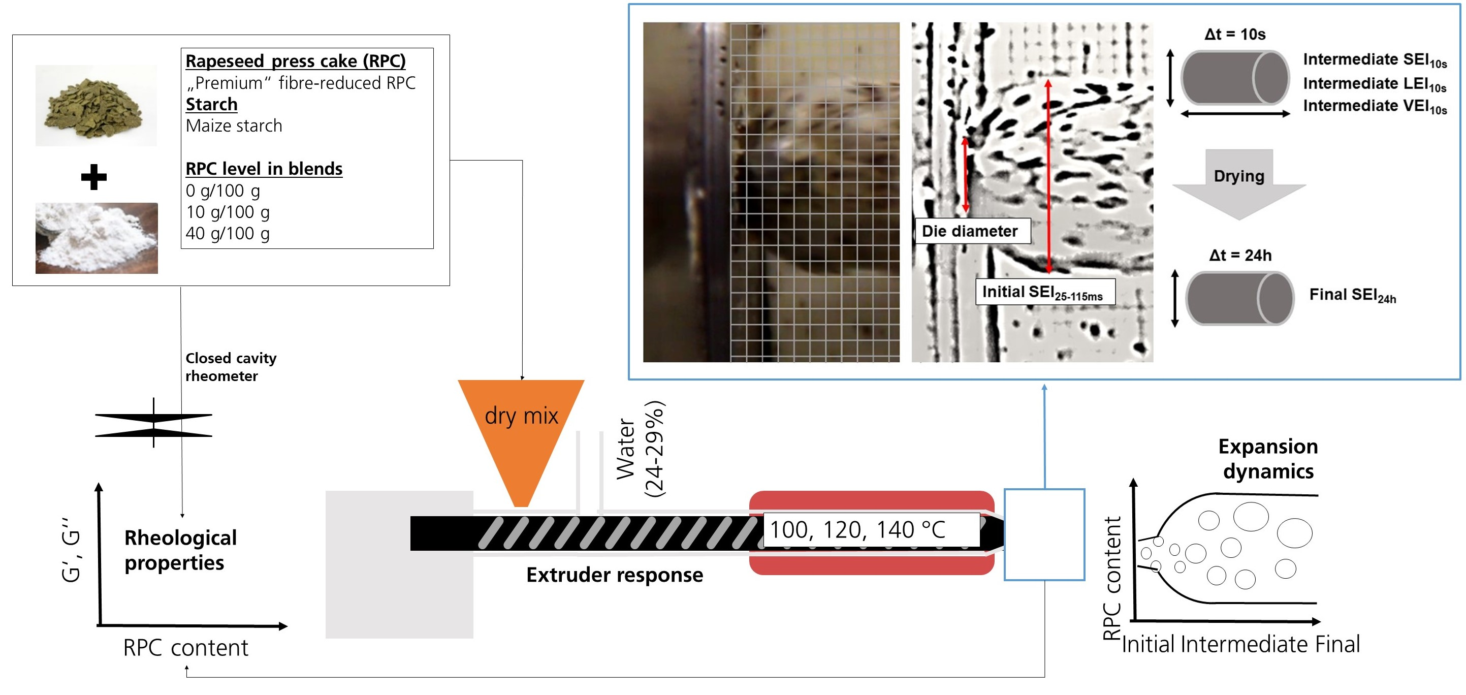 Foods Free Full Text Impact Of Rapeseed Press Cake On The Rheological Properties And Expansion Dynamics Of Extruded Maize Starch Html