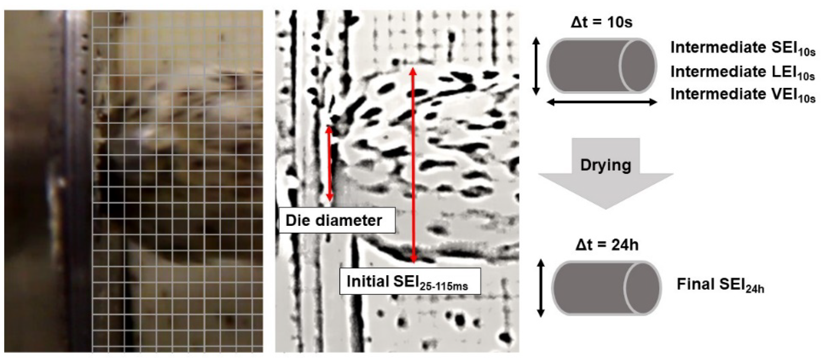 Foods 10 00616 g001 Foods 10 00616 g001