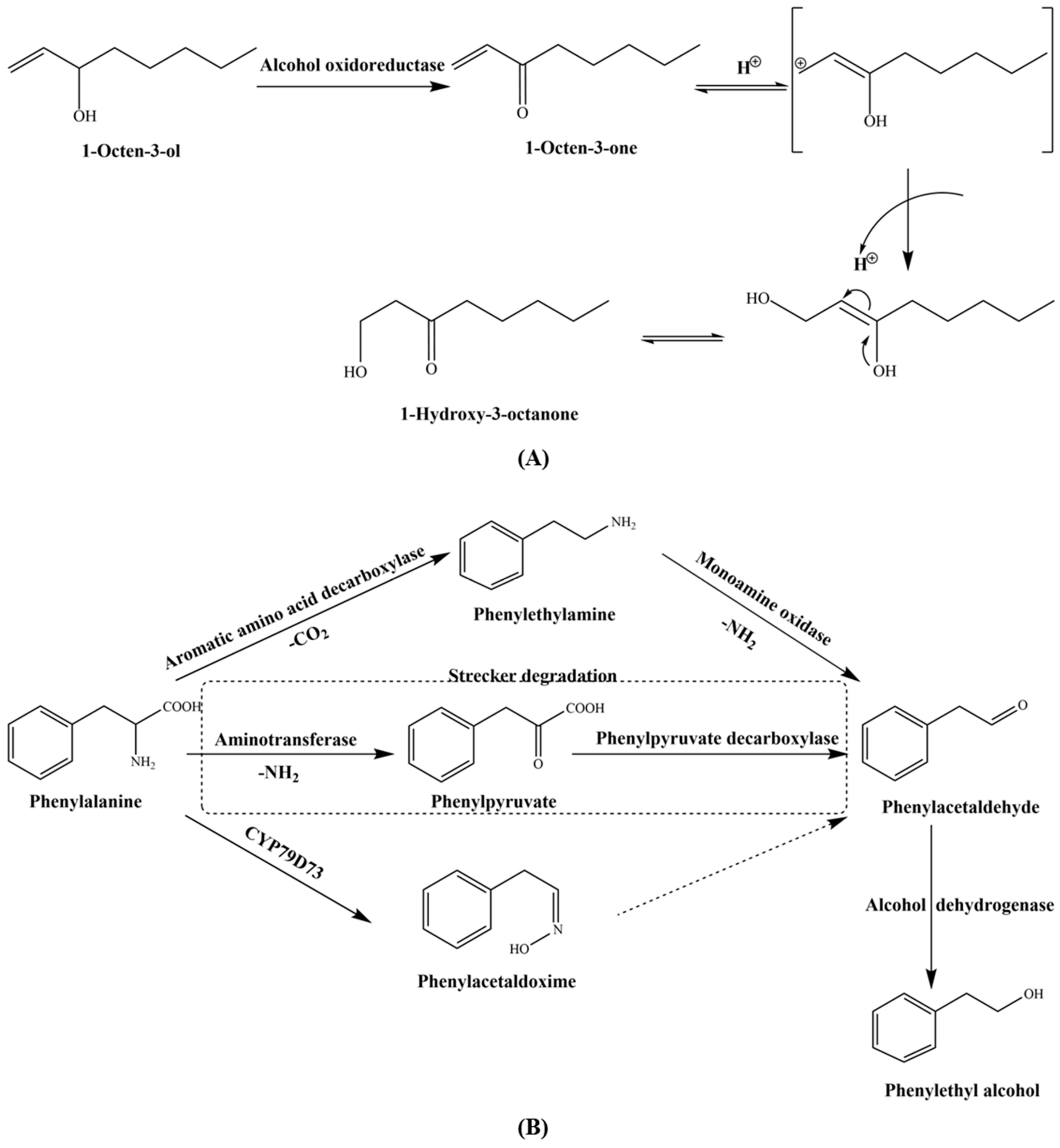 Foods 10 00622 g005 Foods 10 00622 g005