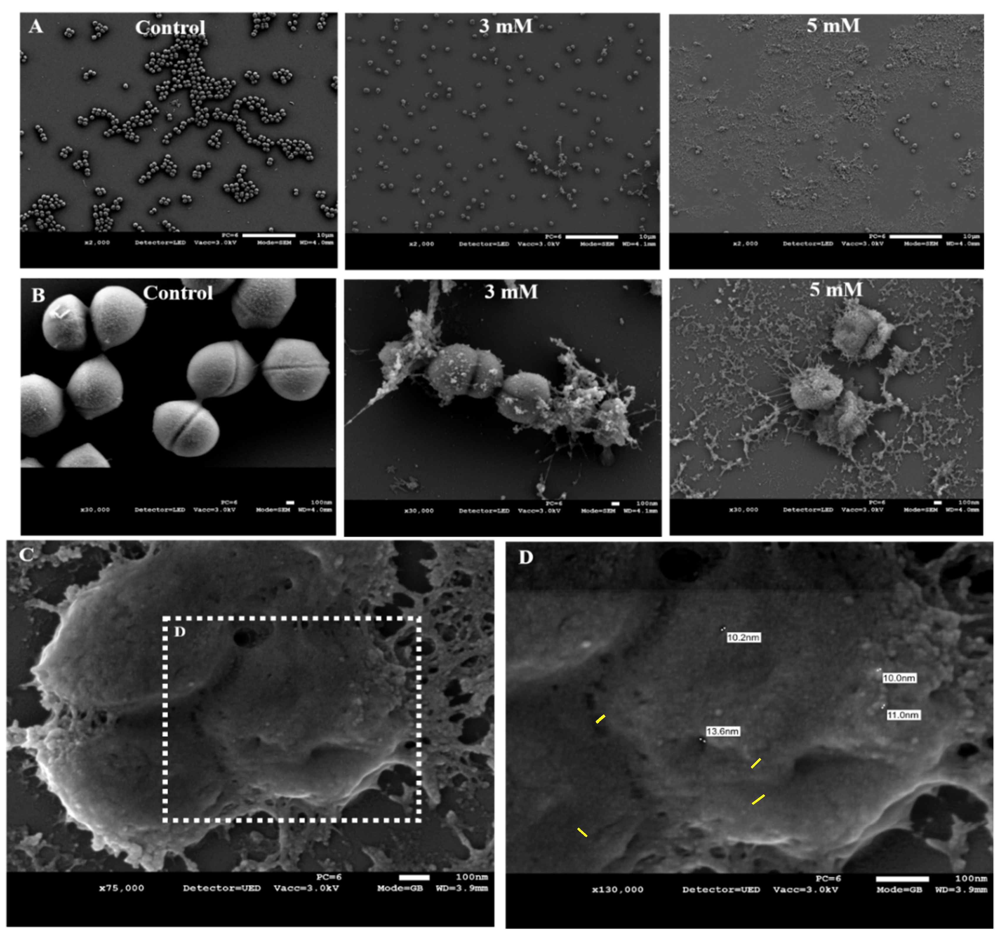 Foods 10 00637 g003 Foods 10 00637 g003