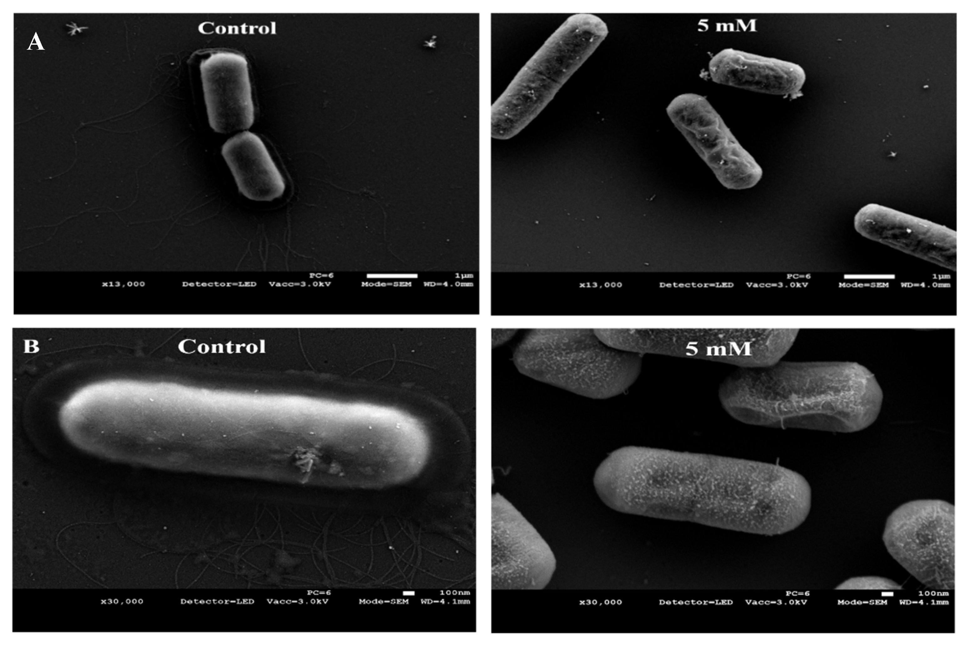 Foods 10 00637 g004 Foods 10 00637 g004