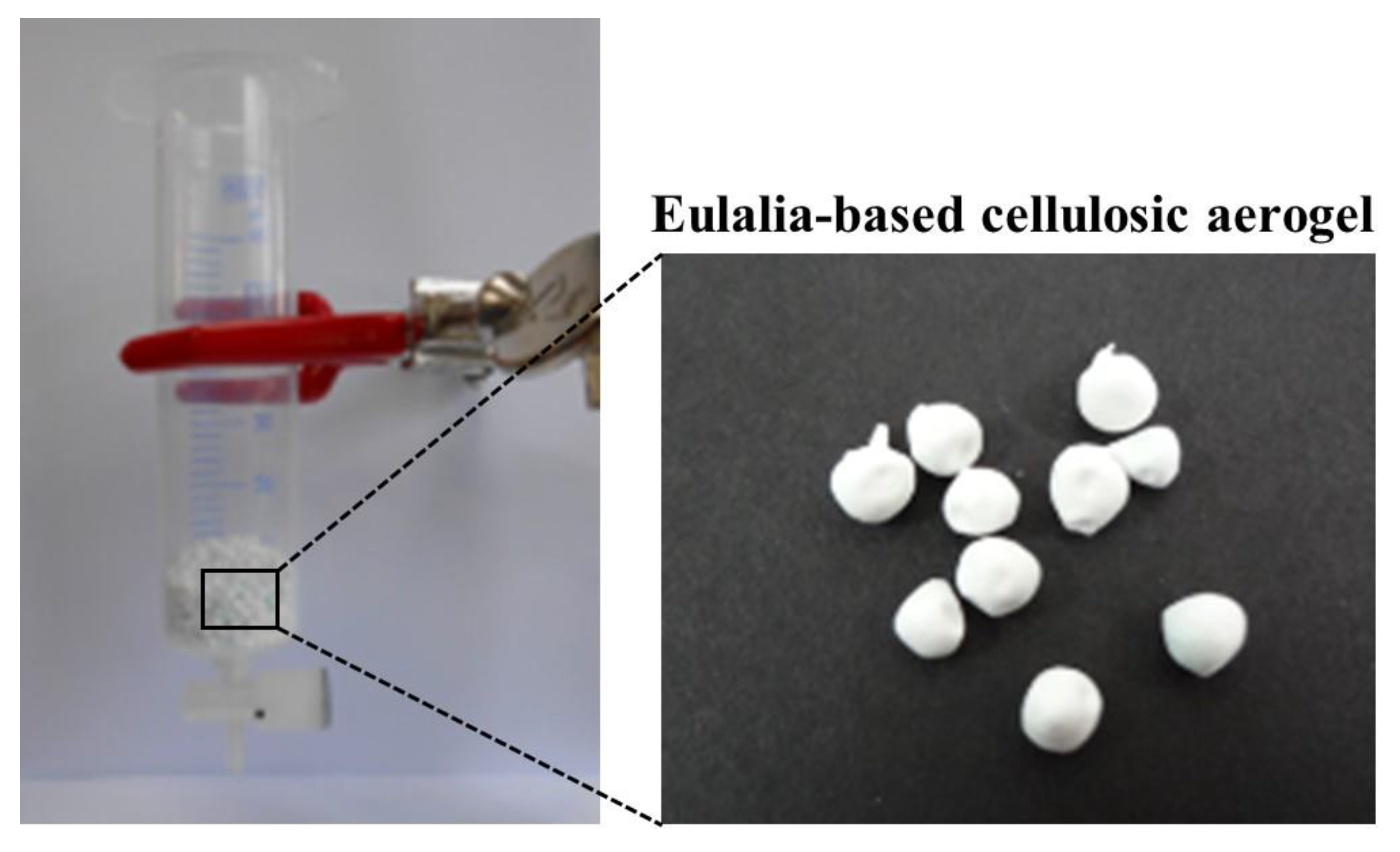 Foods 10 00644 g002 Foods 10 00644 g002