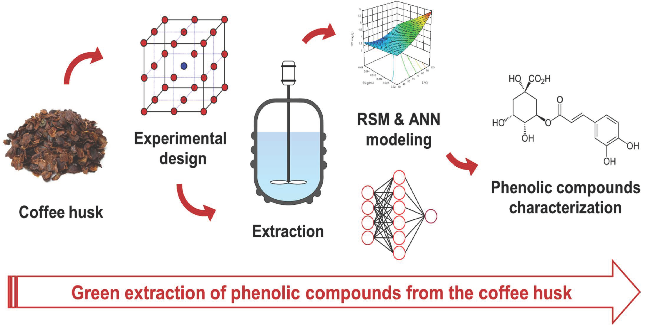 Foods Free FullText Revalorization of Coffee Husk Modeling and