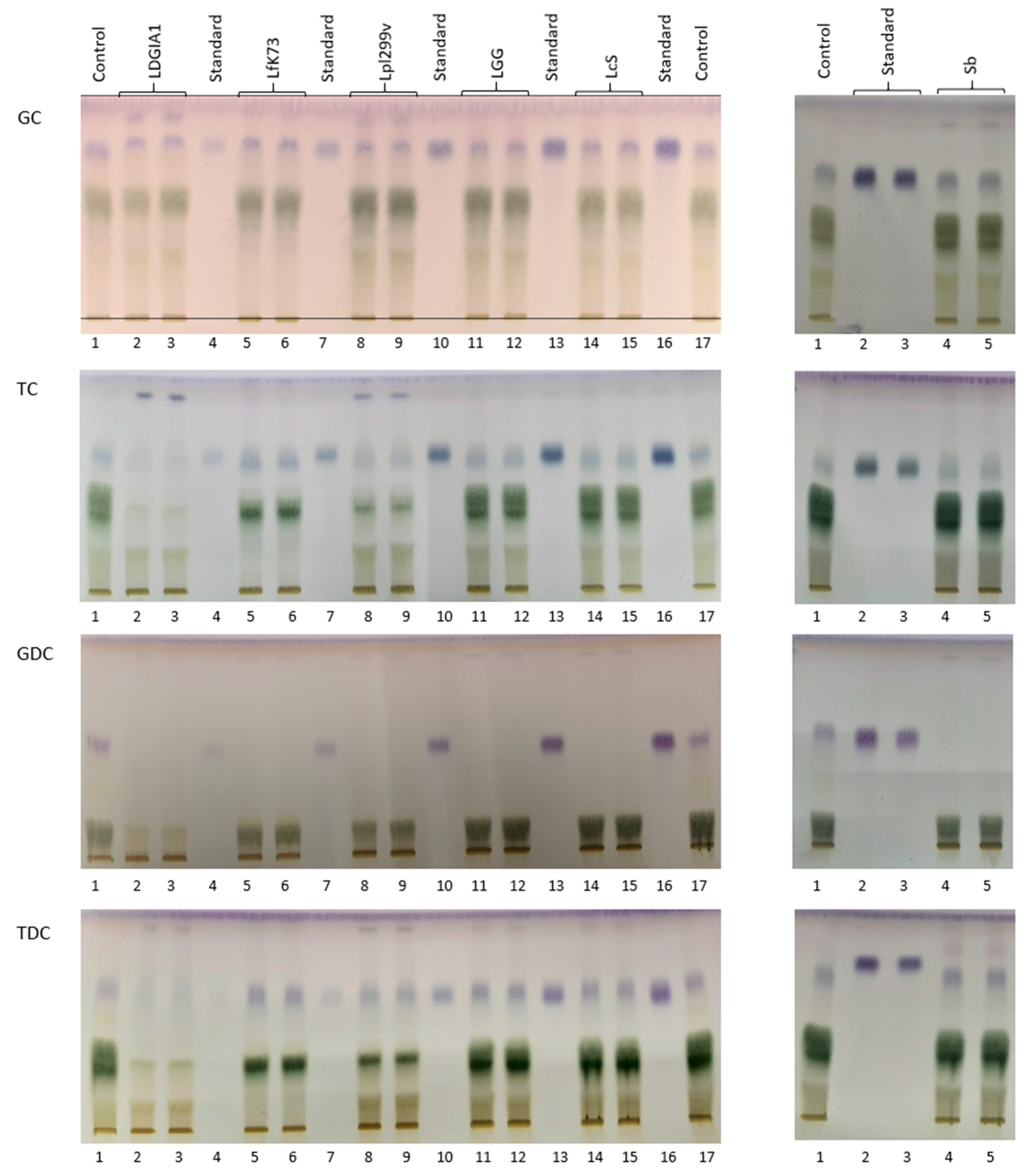 Foods 10 00674 g002 Foods 10 00674 g002