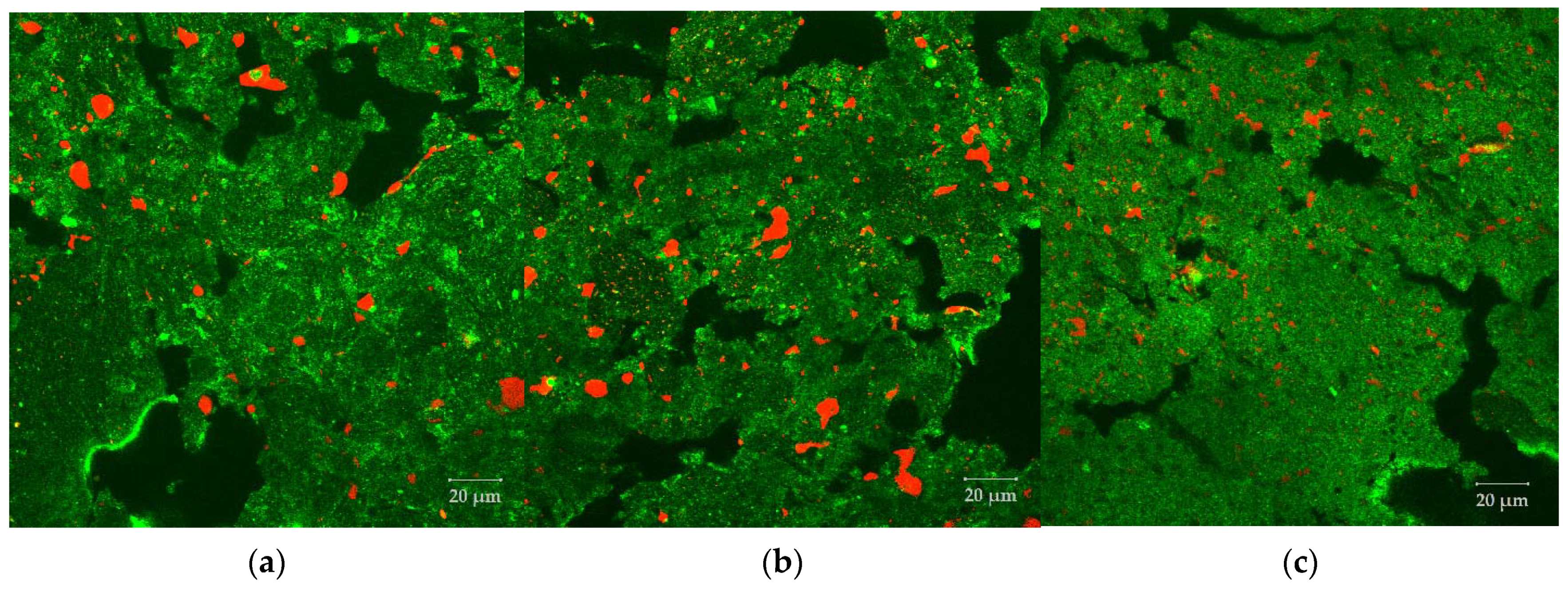 Foods 10 00697 g011 Foods 10 00697 g011