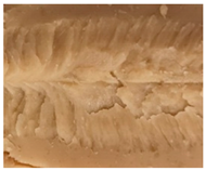 Foods 10 00697 i004 Foods 10 00697 i004