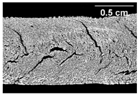 Foods 10 00697 i007 Foods 10 00697 i007