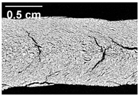 Foods 10 00697 i021 Foods 10 00697 i021