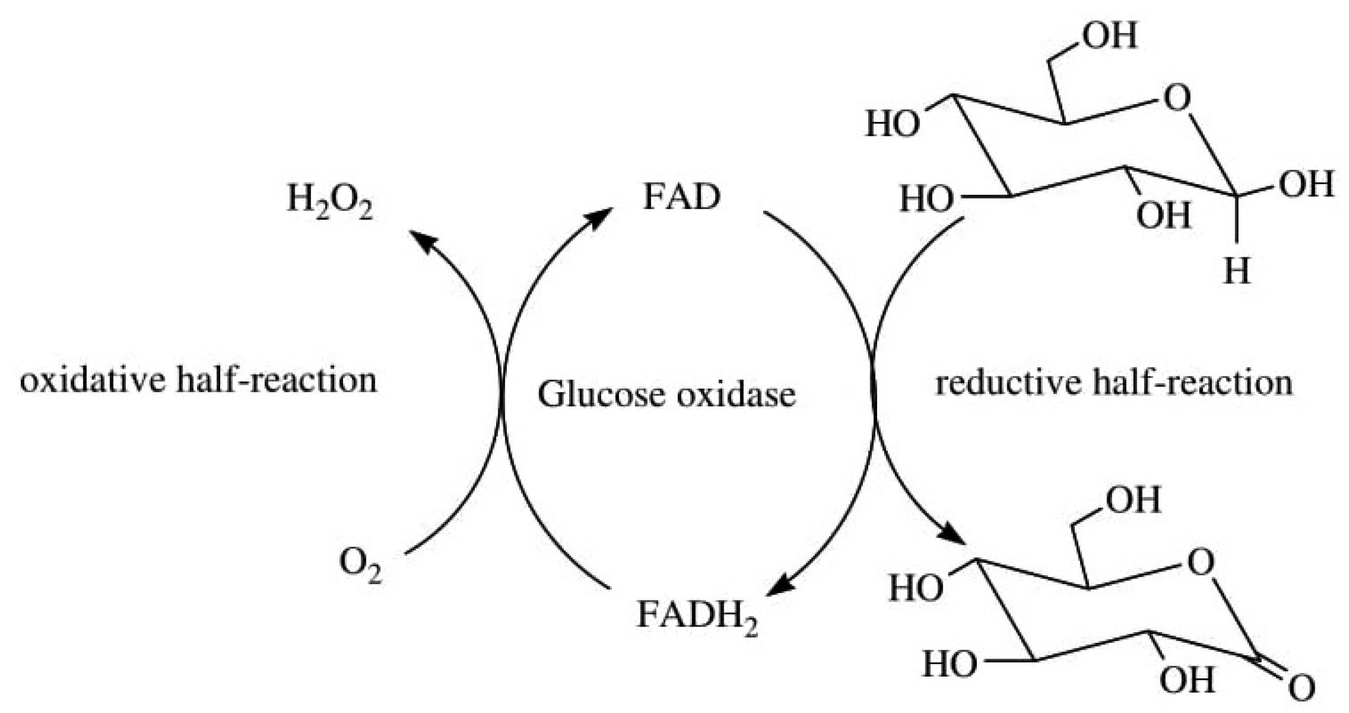 Foods 10 00699 g005 Foods 10 00699 g005