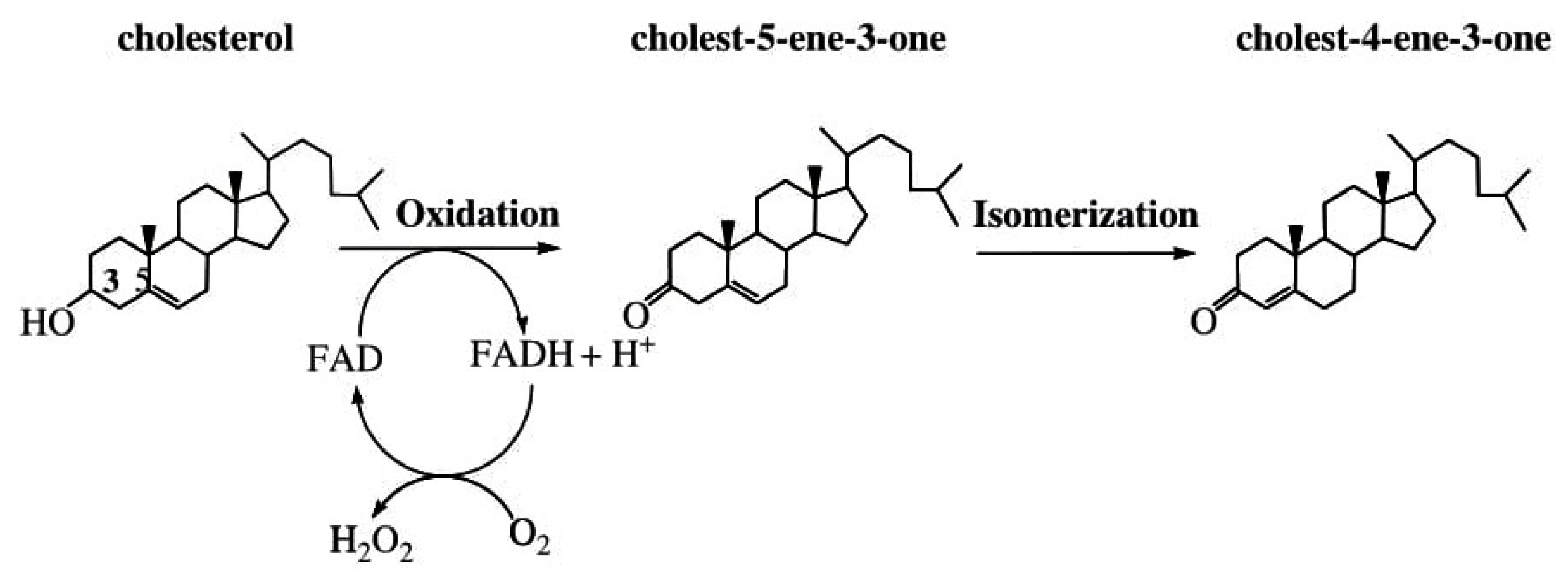 Foods 10 00699 g006 Foods 10 00699 g006