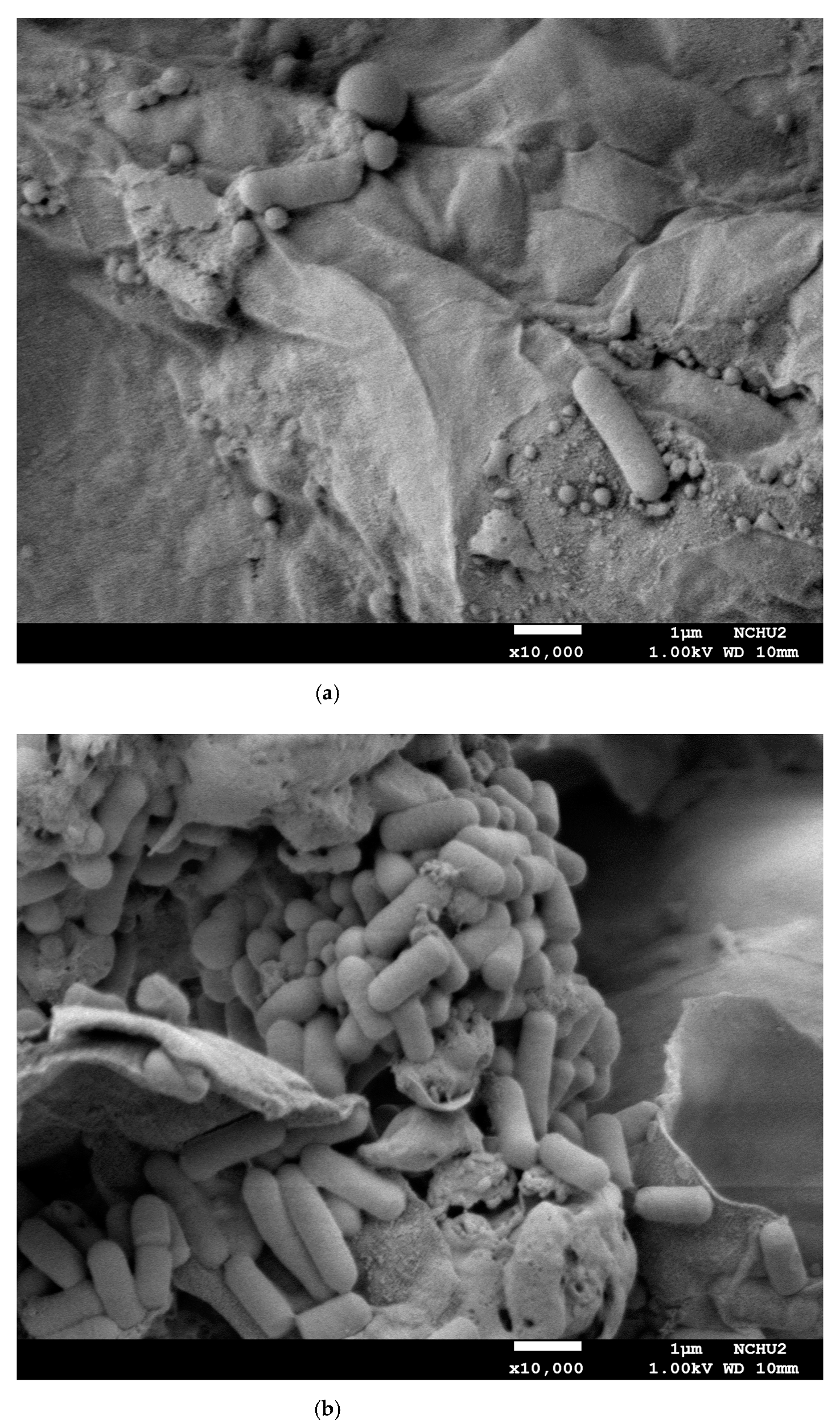 Foods 10 00704 g005a