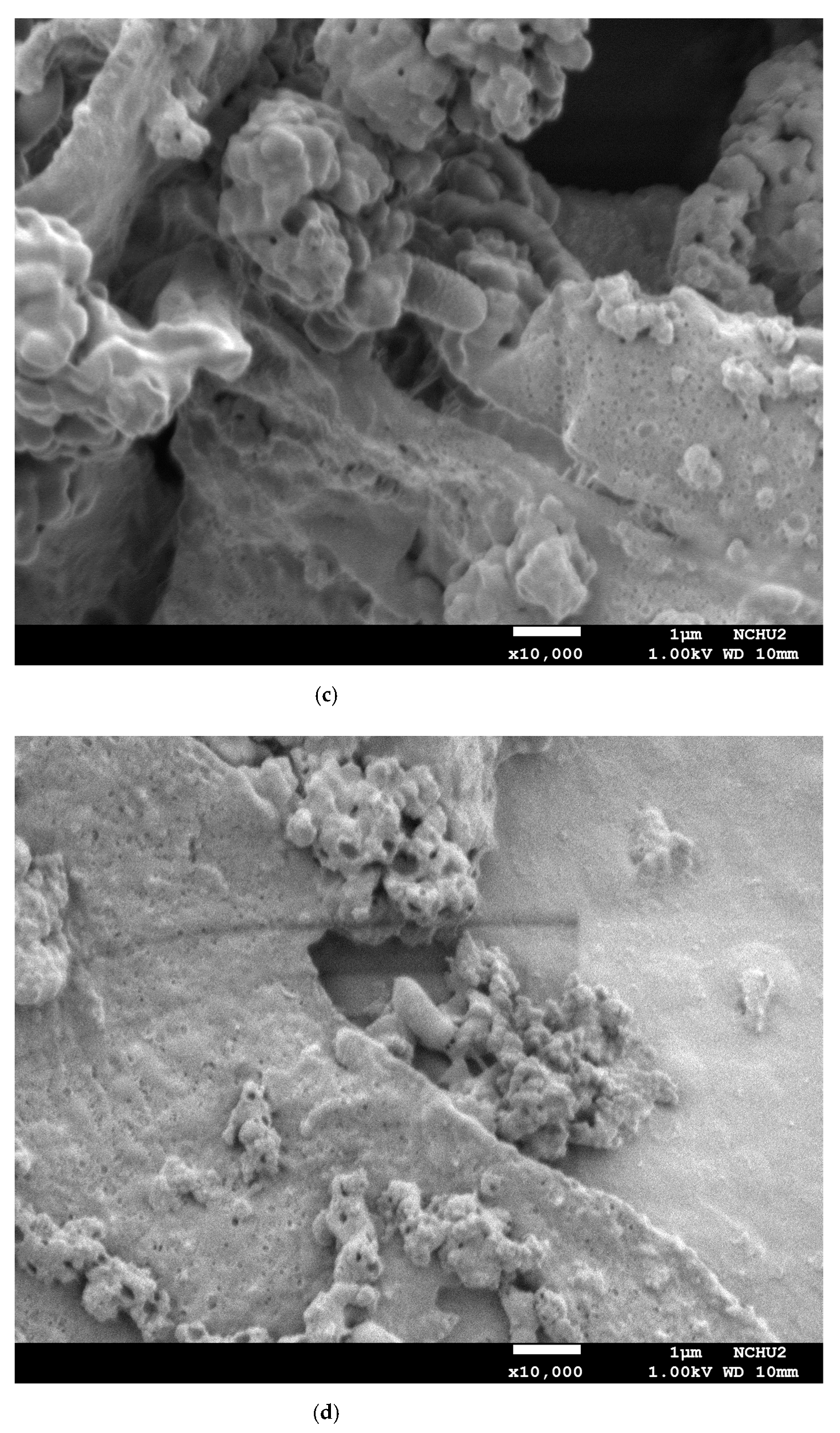 Foods 10 00704 g005b