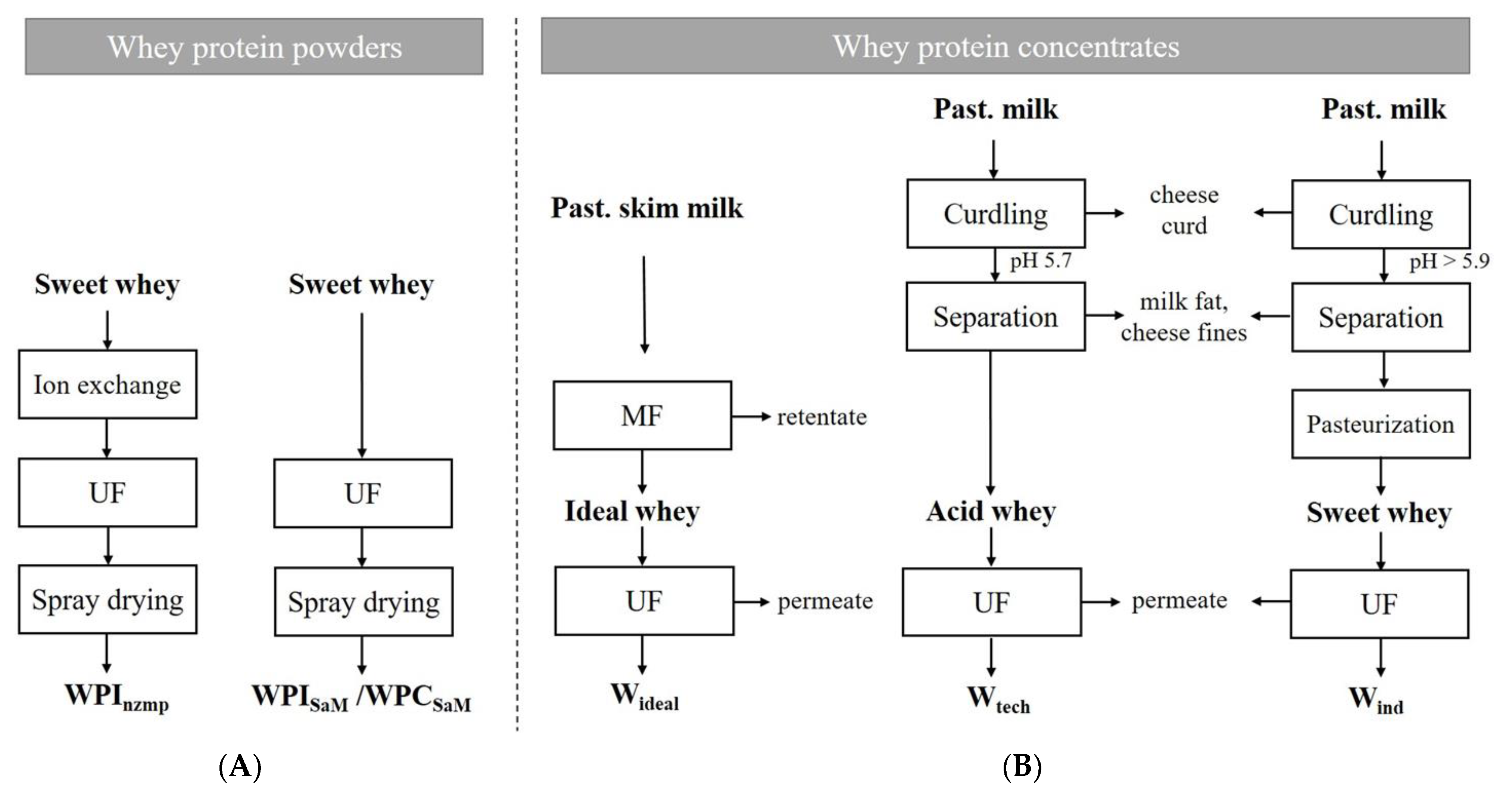 Foods Free FullText Assessing Whey Protein Sources, Dispersion