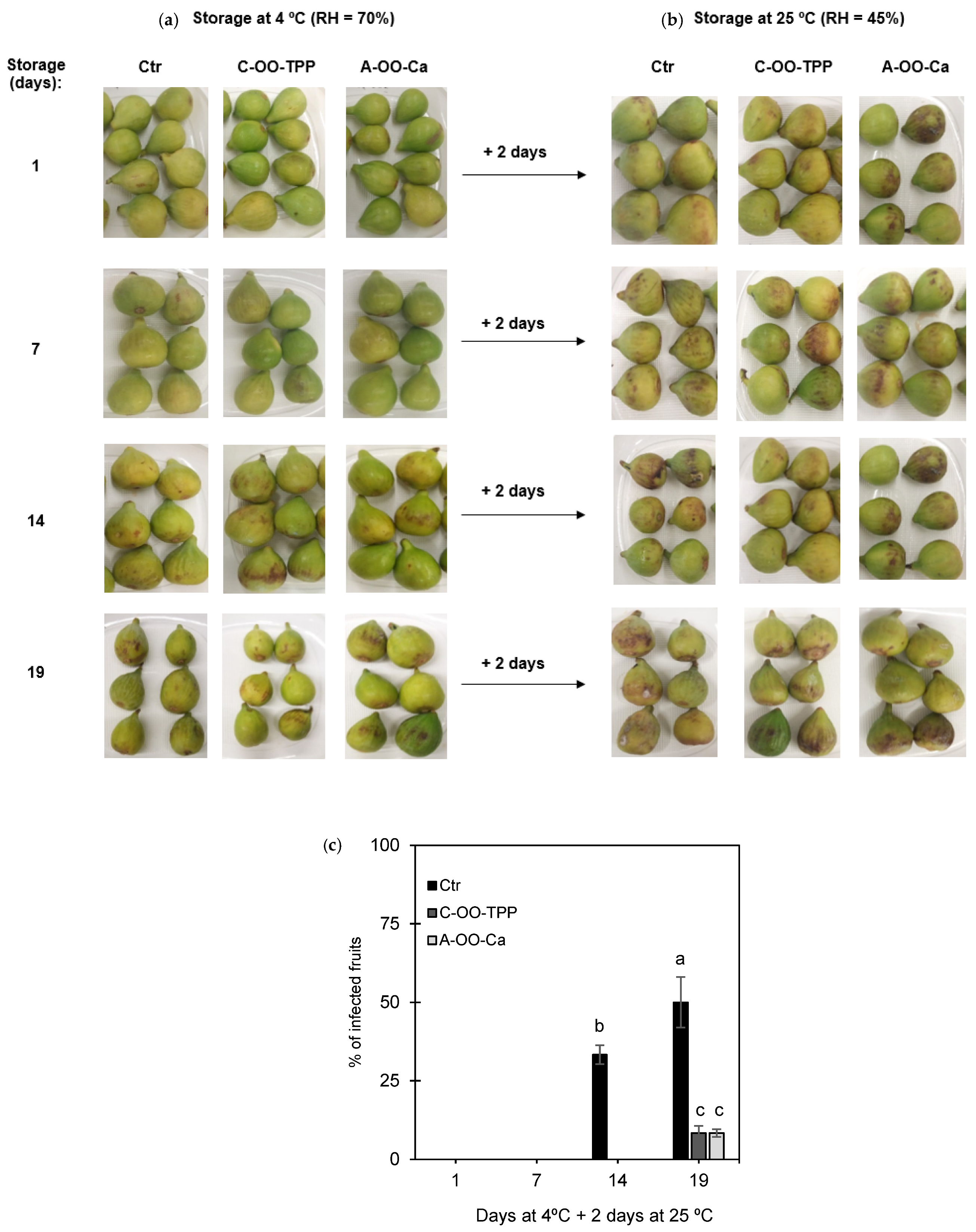 Foods 10 00718 g002 Foods 10 00718 g002