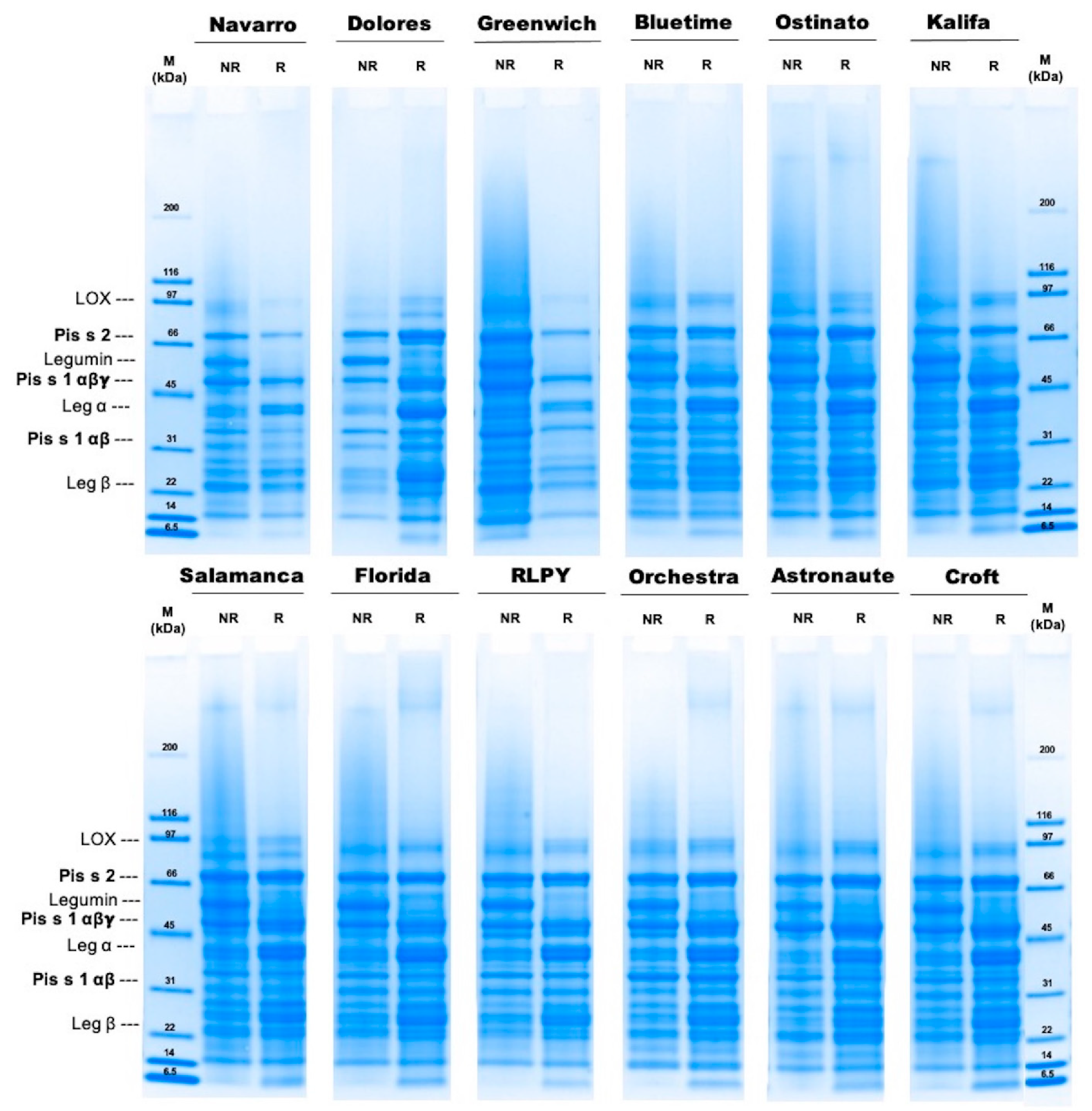 Foods 10 00758 g001 Foods 10 00758 g001
