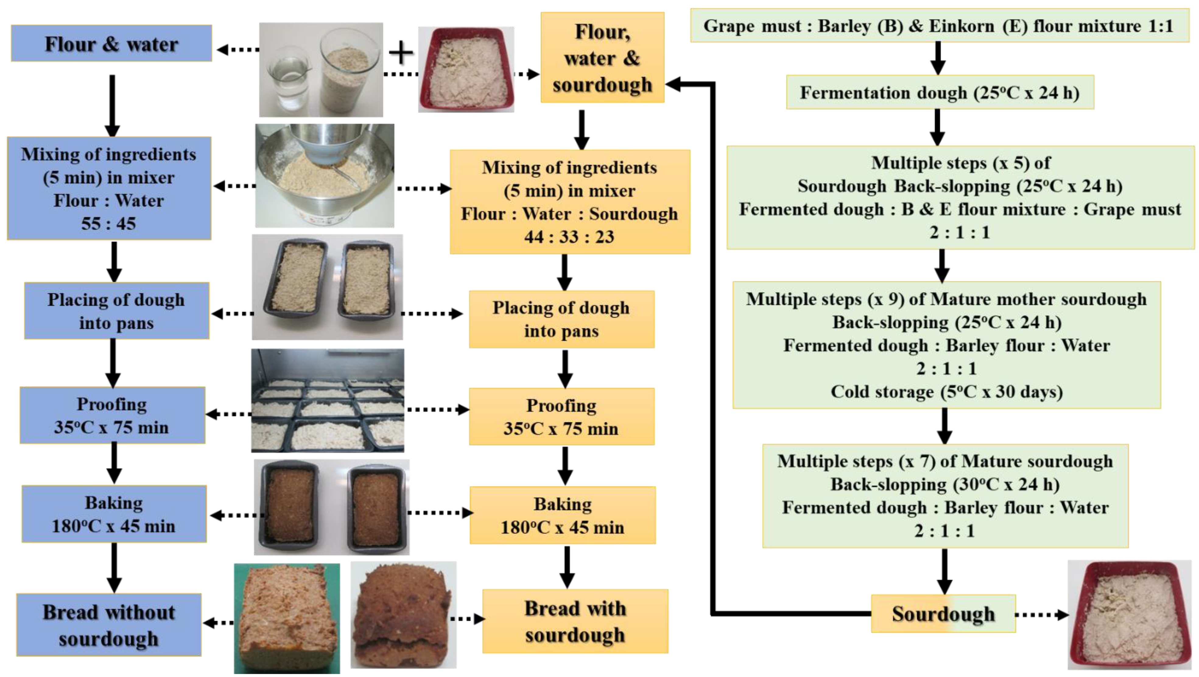 Foods 10 00789 g002 Foods 10 00789 g002