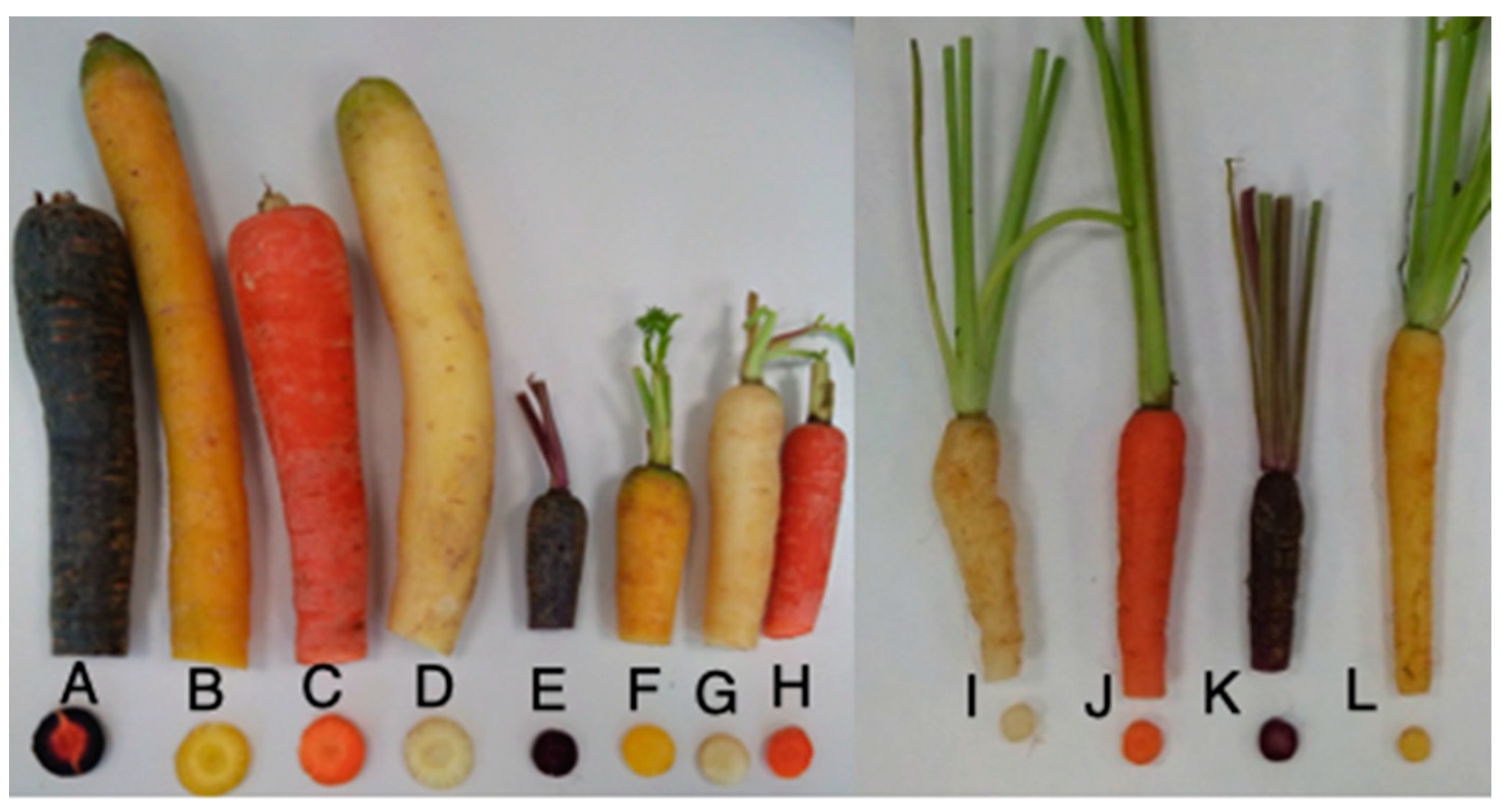 Foods 10 00808 g001