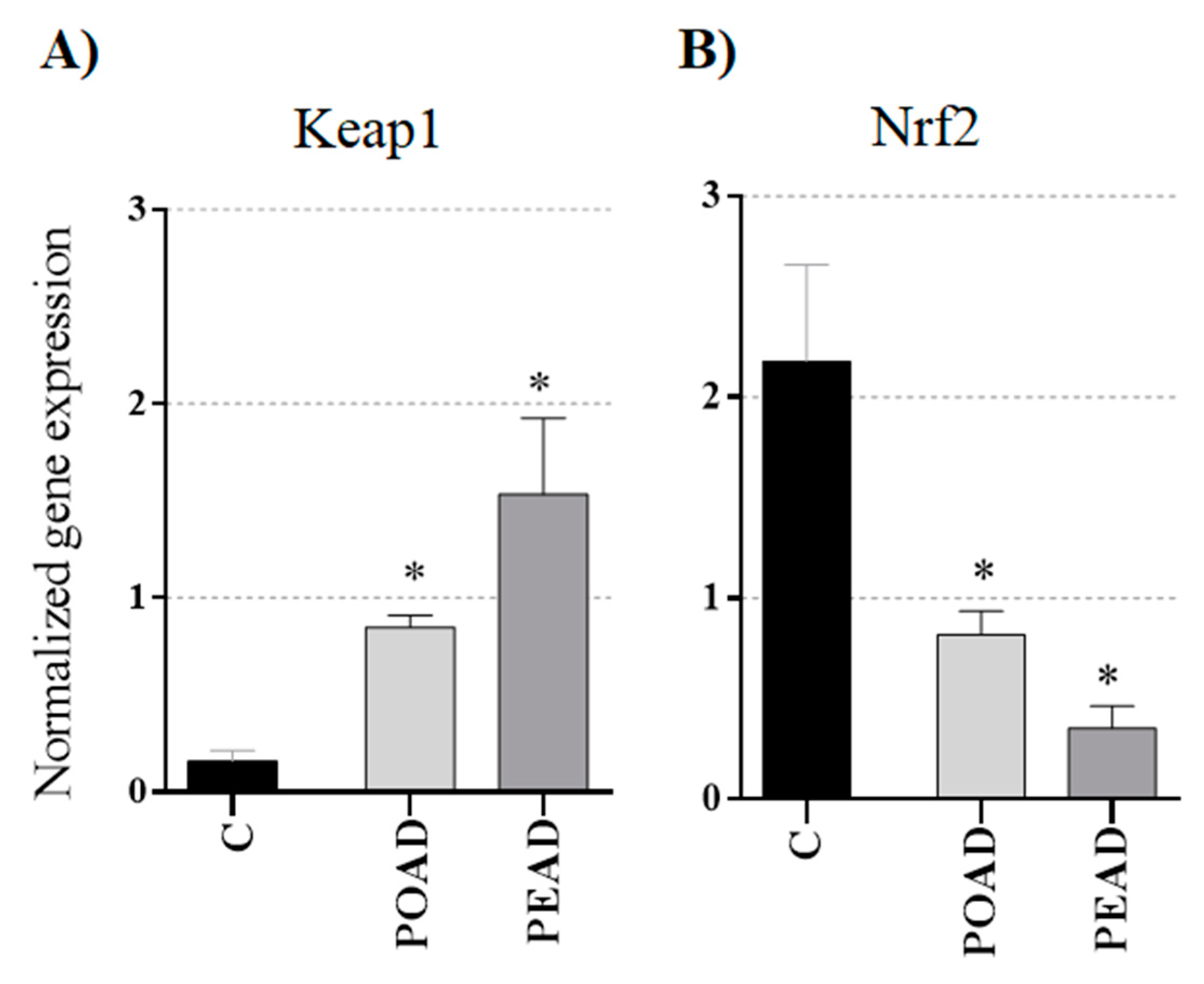 Foods 10 00811 g004 Foods 10 00811 g004