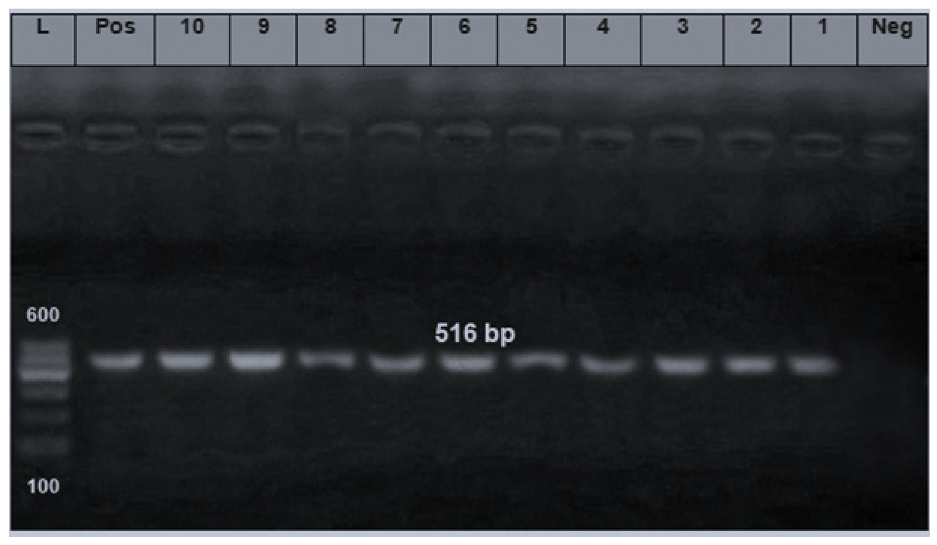 Foods 10 00820 g006 Foods 10 00820 g006