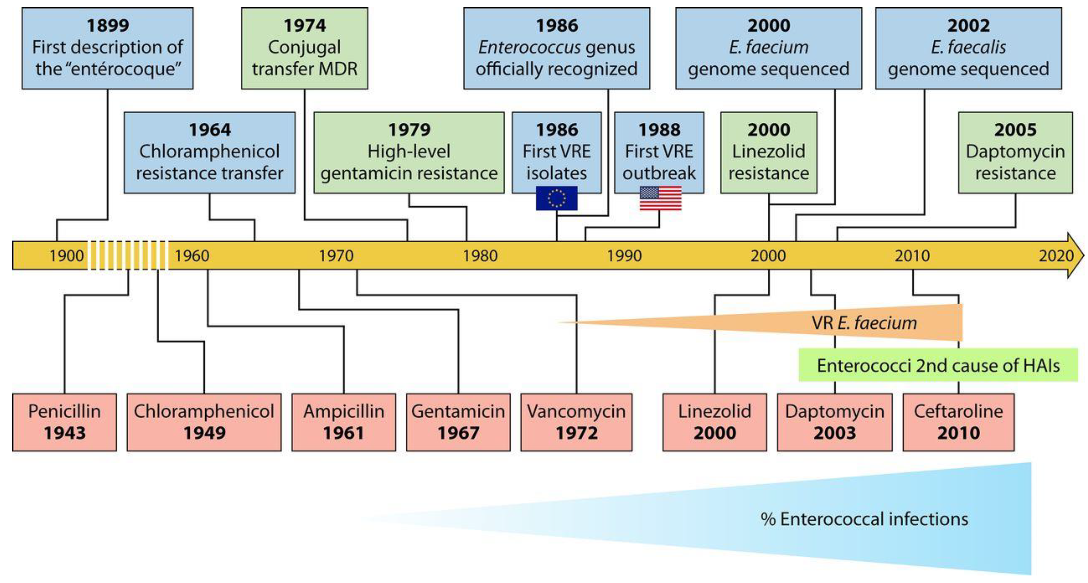 Foods 10 00821 g002 Foods 10 00821 g002