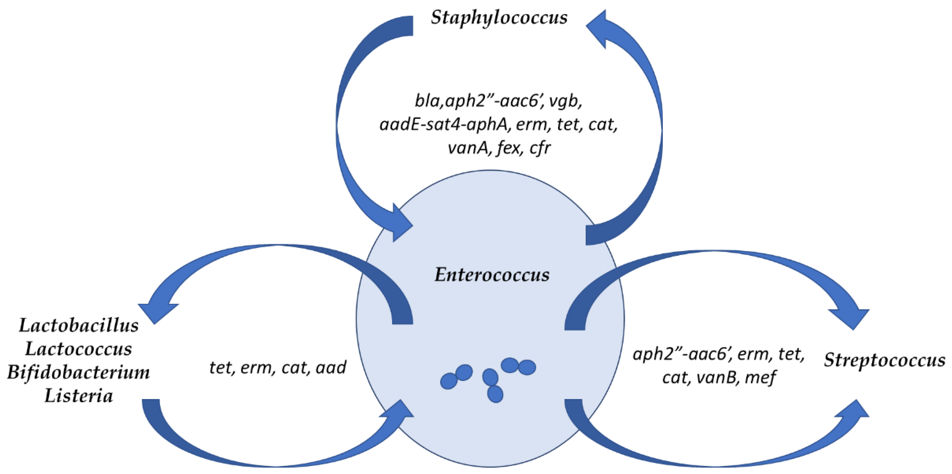 Foods 10 00821 g003 Foods 10 00821 g003
