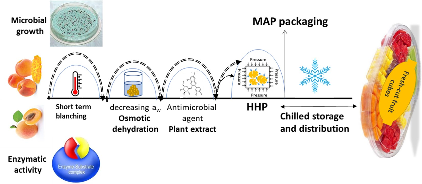 Foods | Free Full-Text | Application of Processing and Packaging