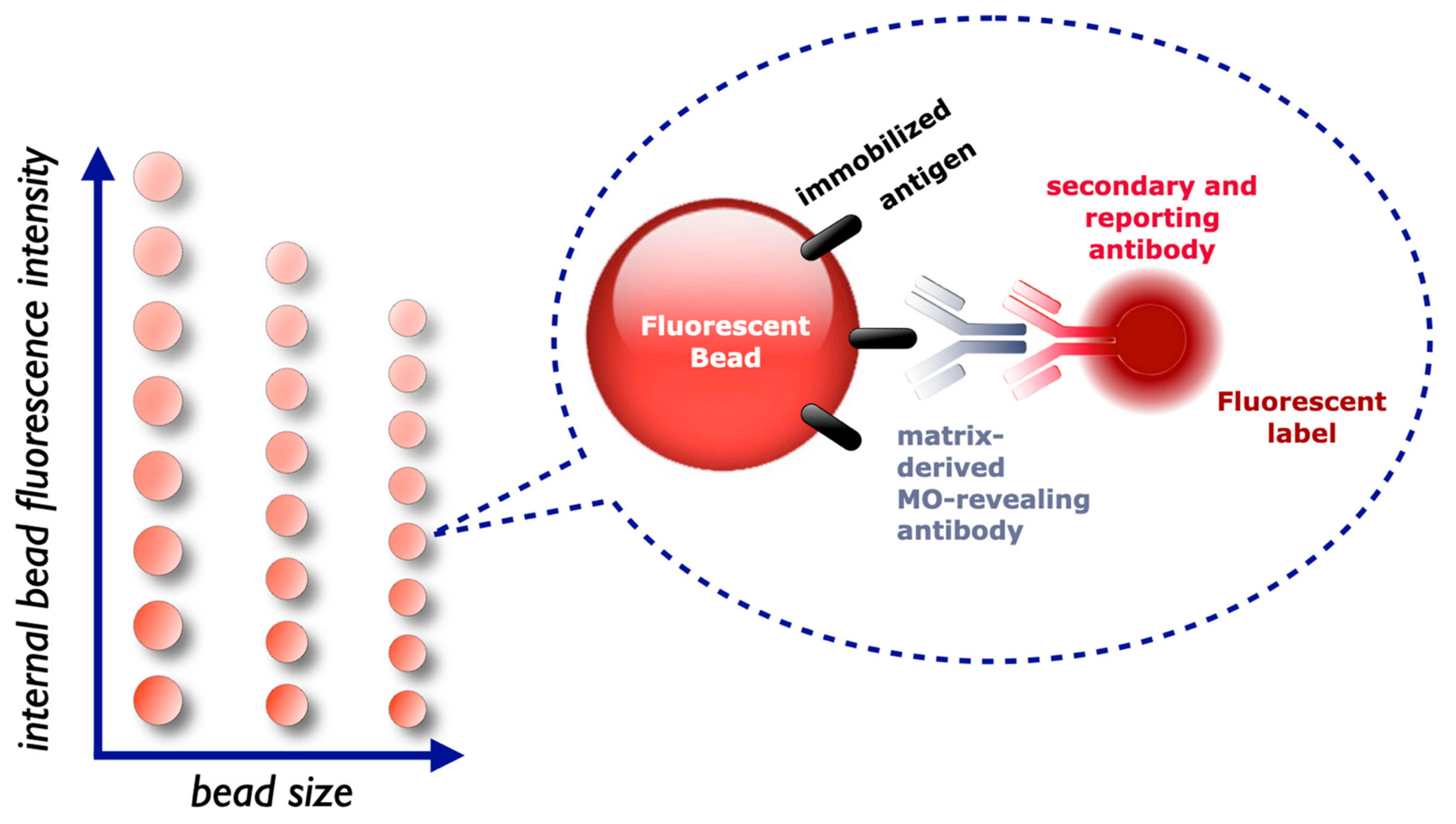 Standardization of a Cytometric Bead Assay Based on Egg-Yolk Antibodies