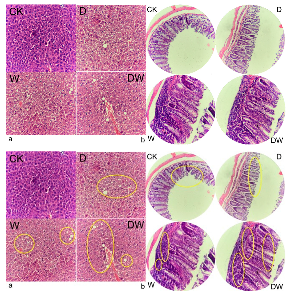 Foods 10 00835 g003 Foods 10 00835 g003