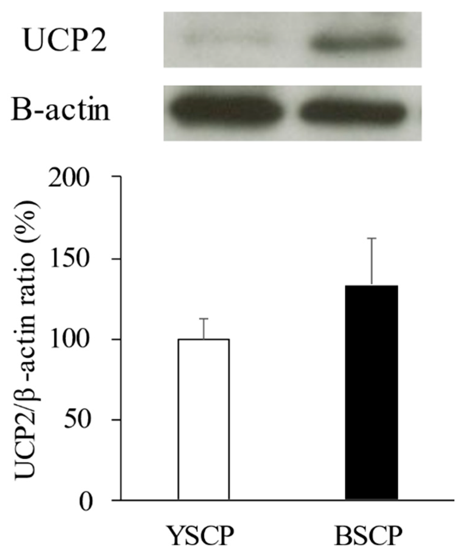 Foods 10 00841 g003 Foods 10 00841 g003