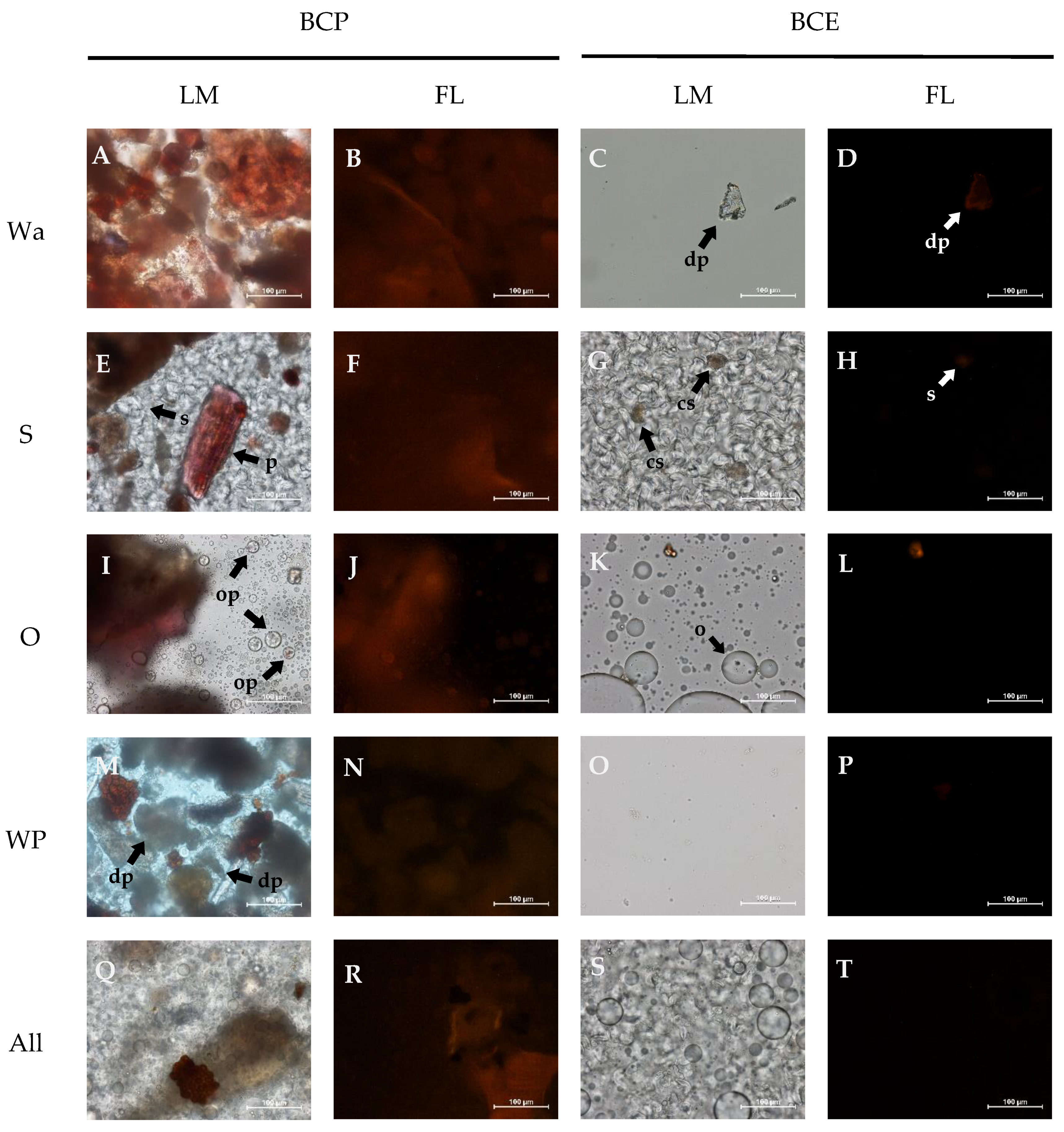 Foods 10 00847 g001 Foods 10 00847 g001