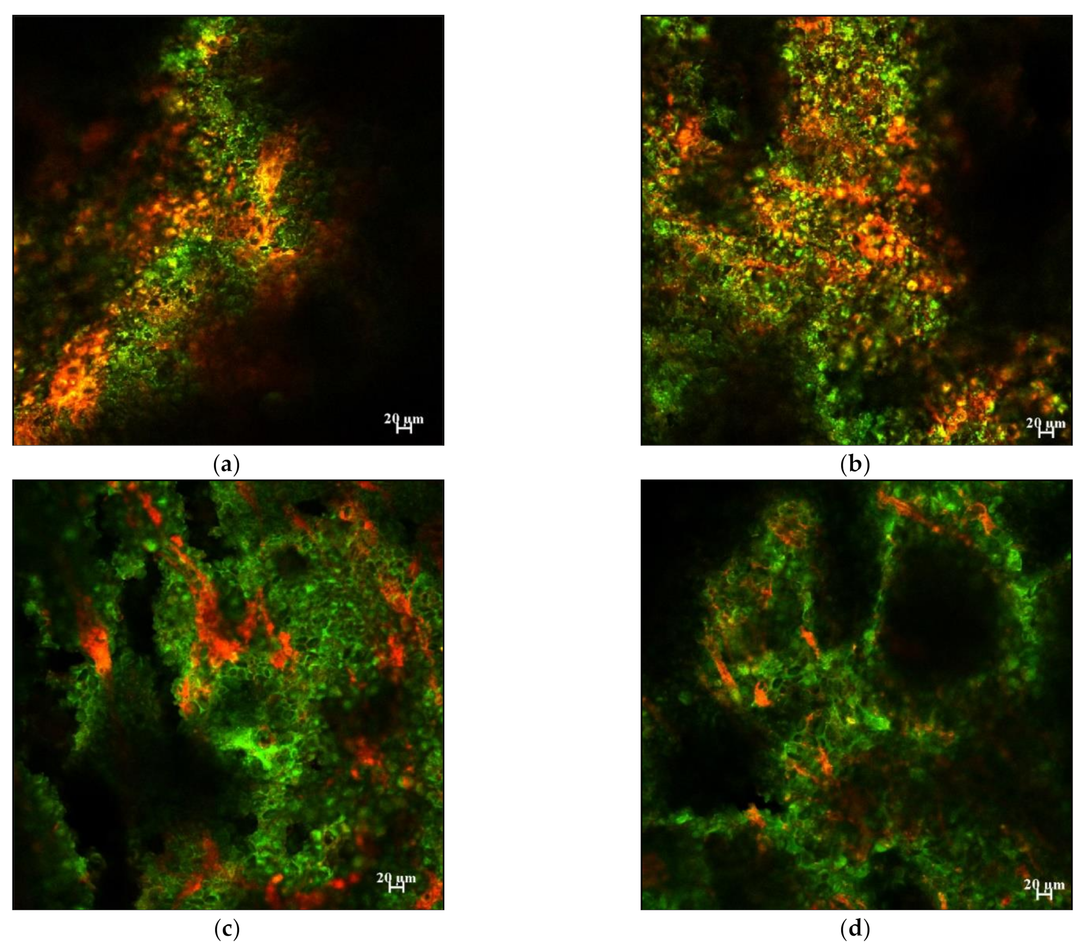 Foods 10 00860 g007 Foods 10 00860 g007