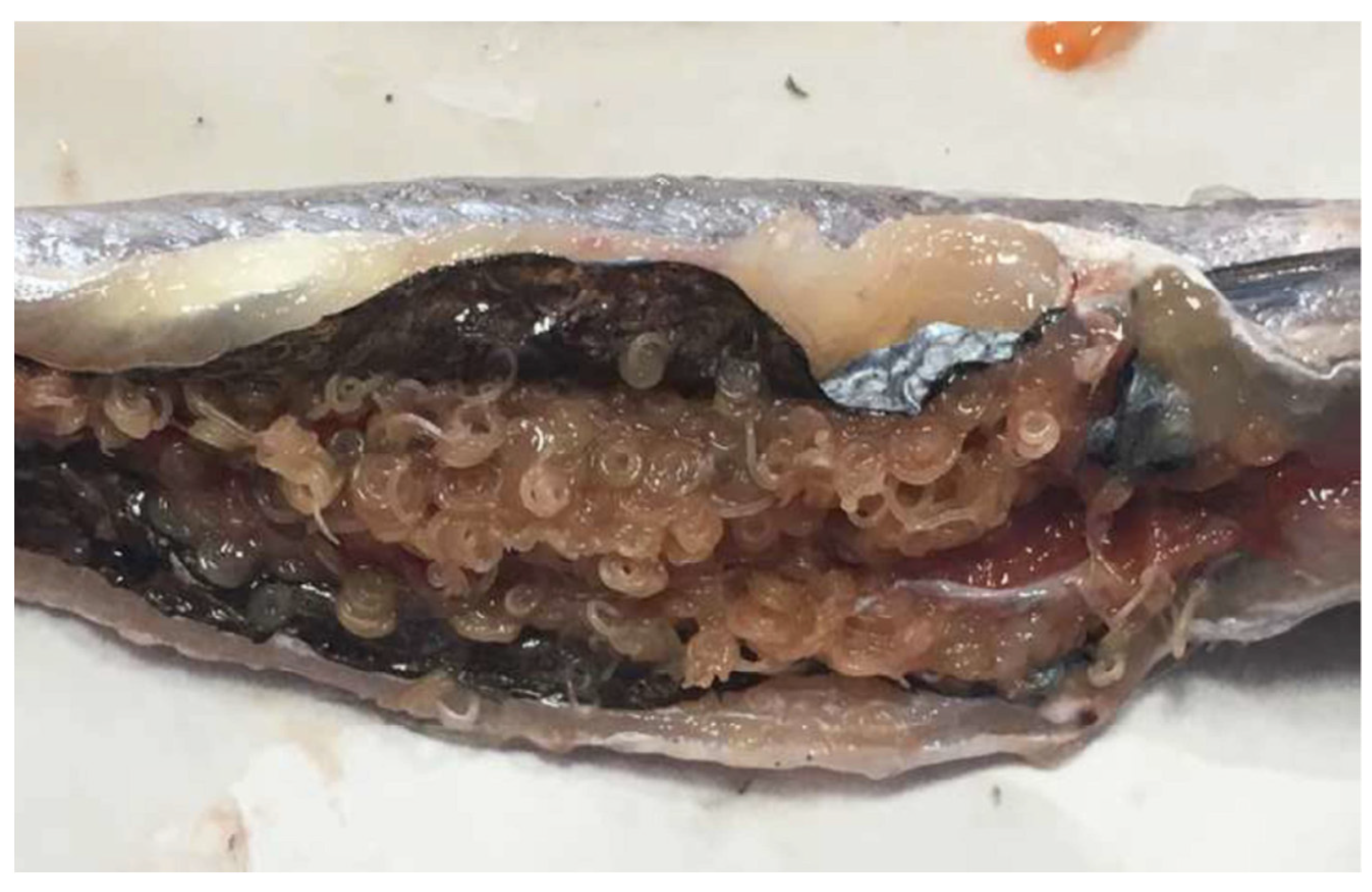 Foods 10 00862 g001 Foods 10 00862 g001