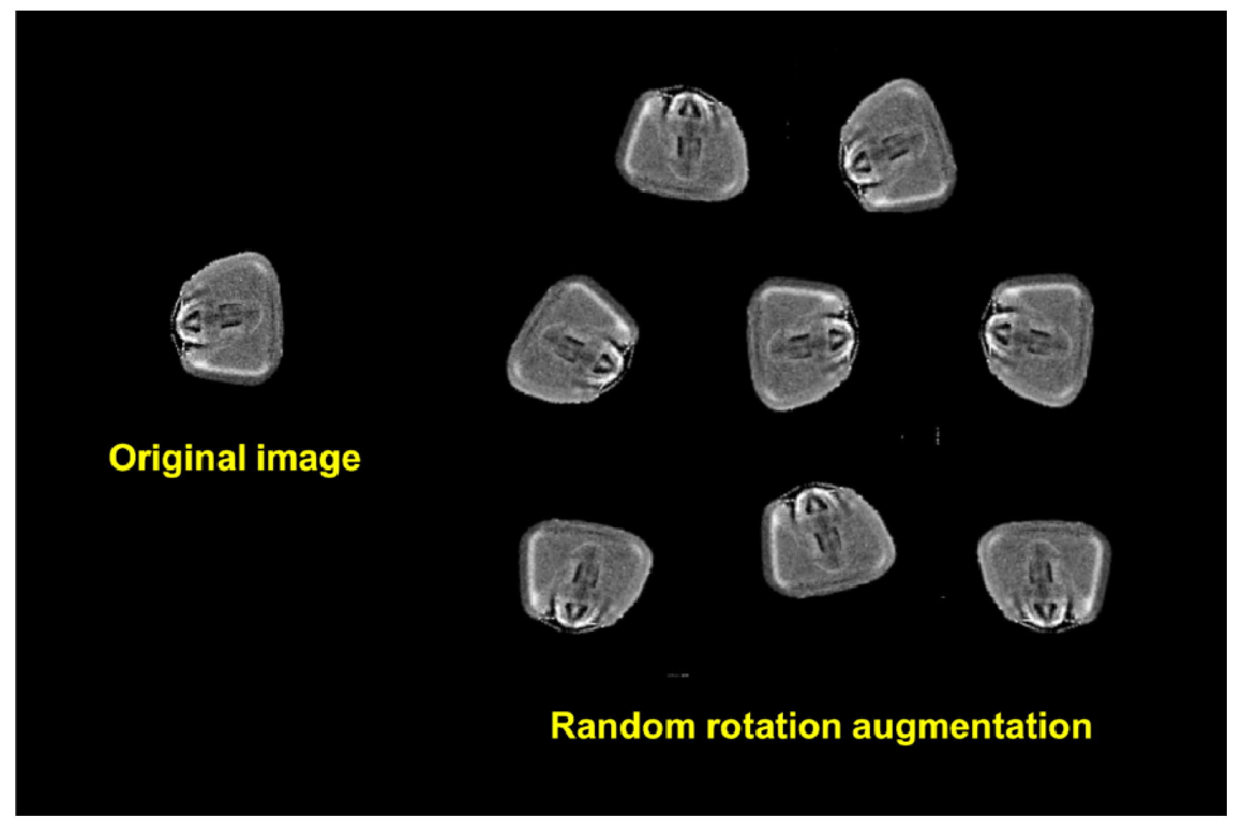 Foods 10 00879 g001 Foods 10 00879 g001