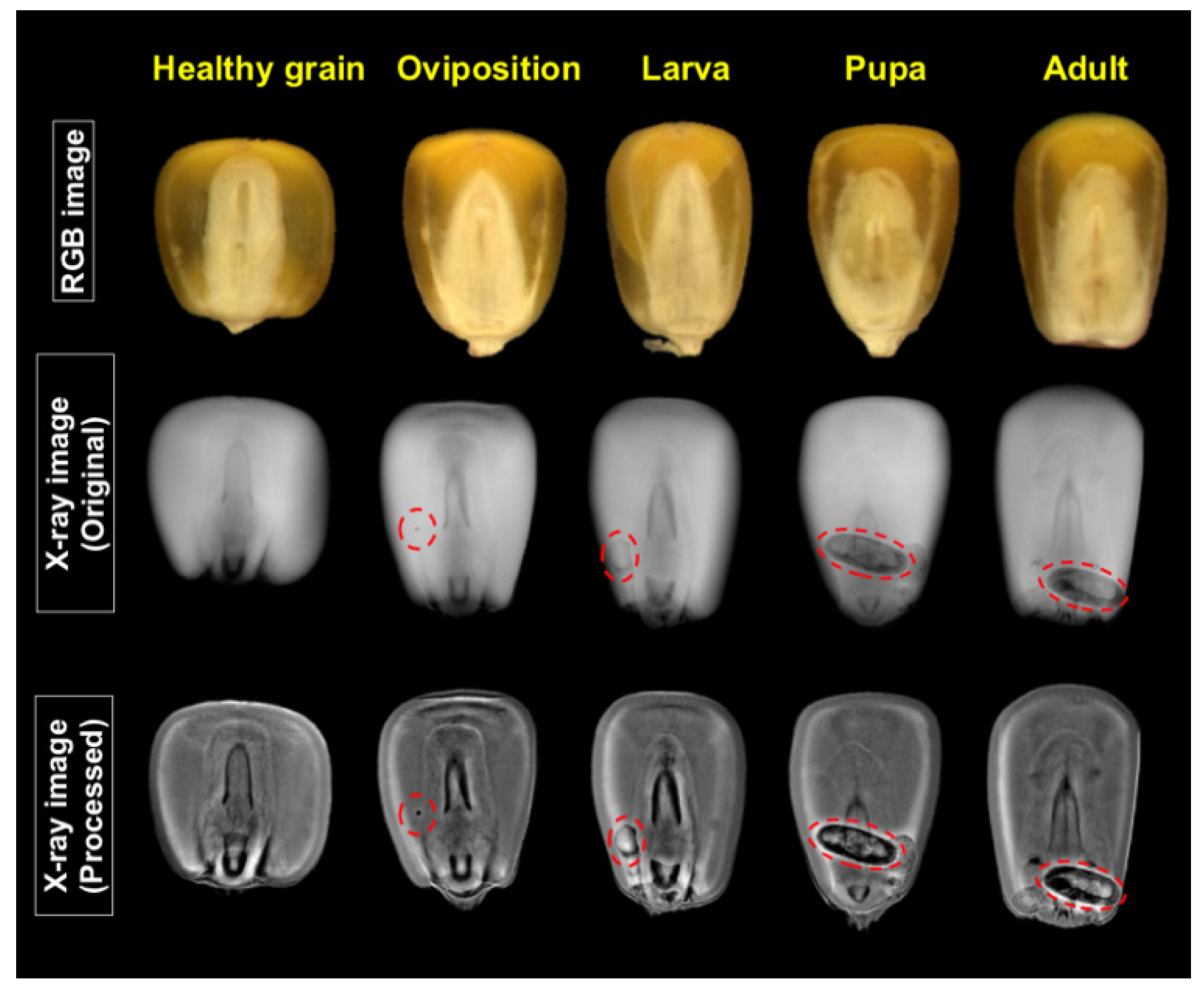 Foods 10 00879 g003 Foods 10 00879 g003