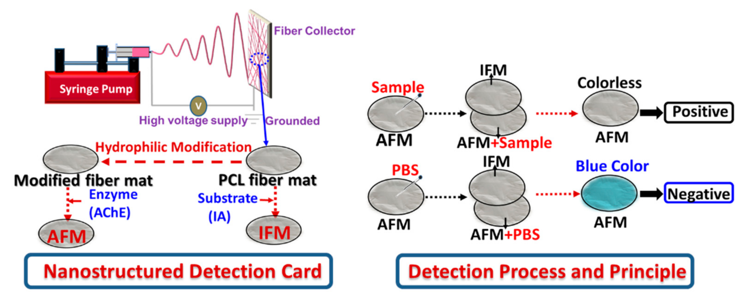 Foods 10 00889 g002 Foods 10 00889 g002