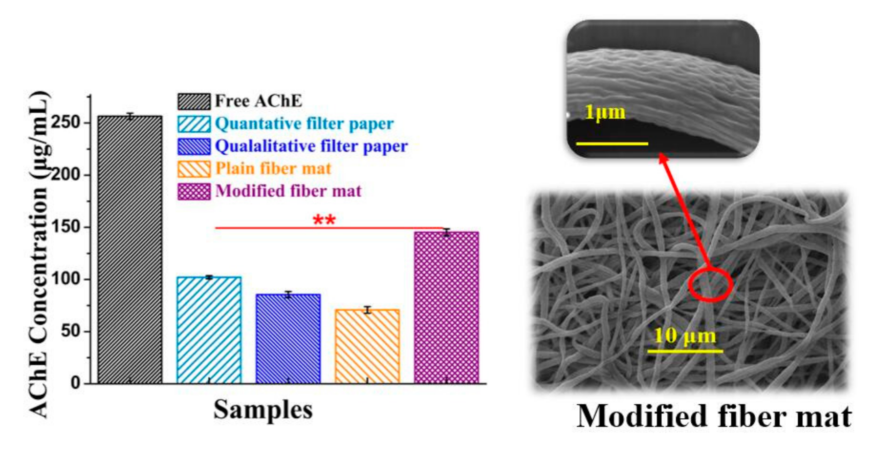 Foods 10 00889 g008 Foods 10 00889 g008