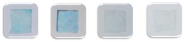 Foods 10 00889 i001 Foods 10 00889 i001